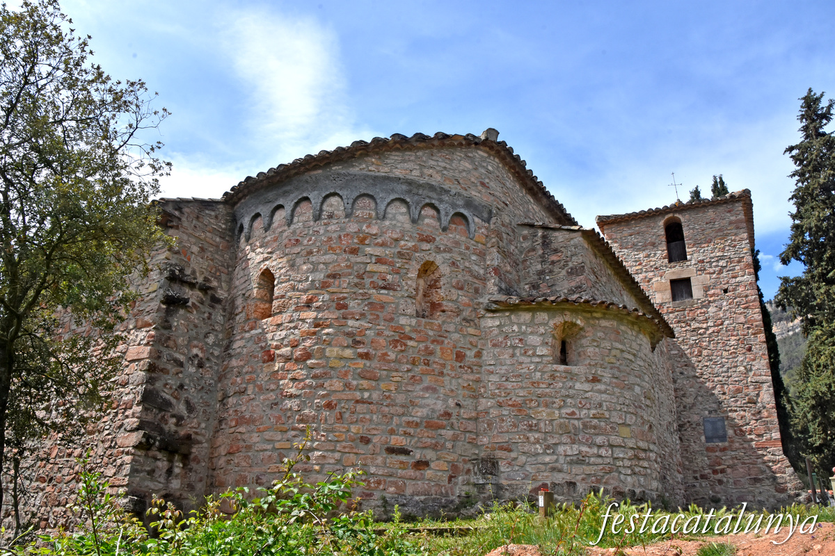 Sant Pere de Valldaneu a Sant Martí de Centelles ***