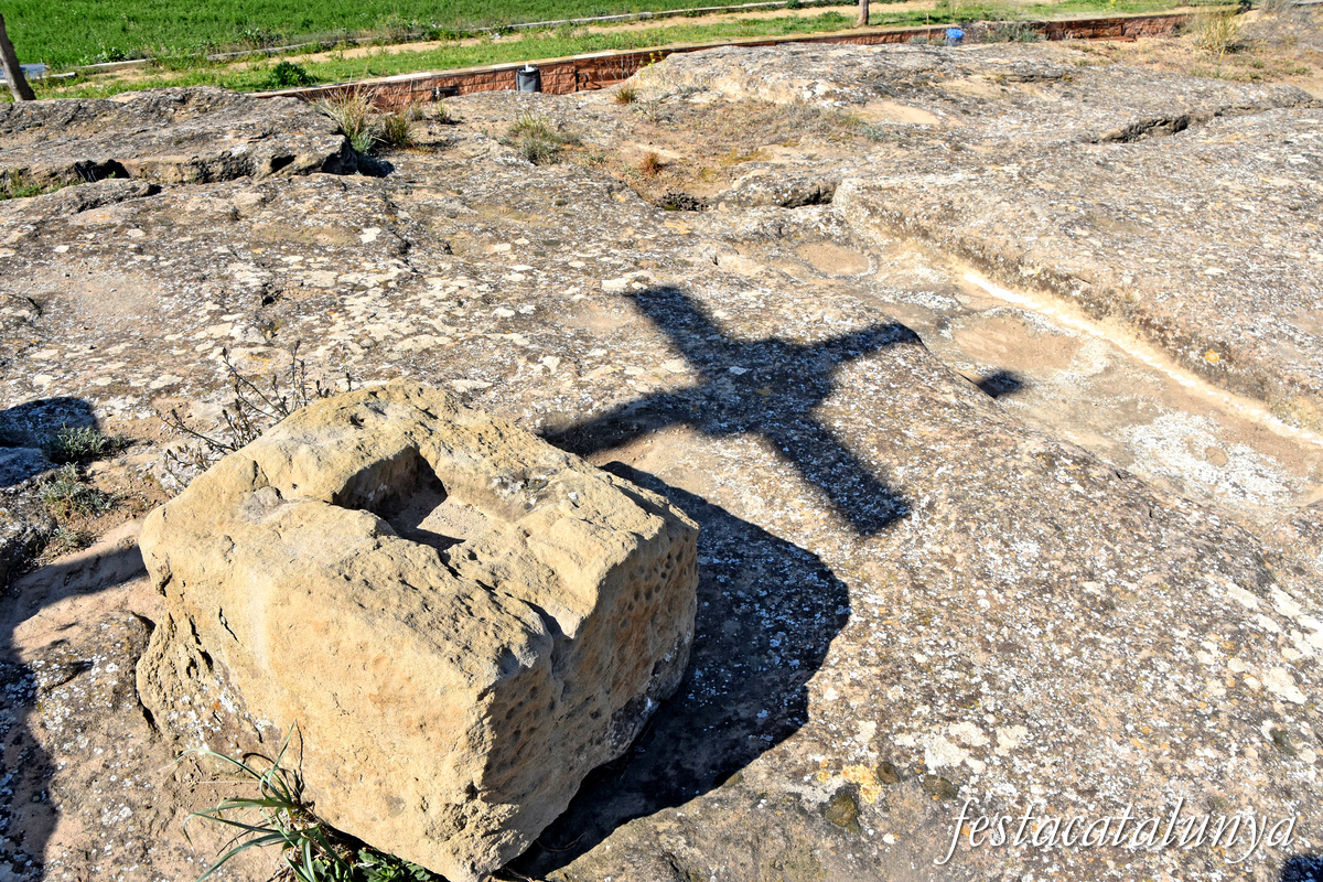 Torre-serona, visita autoguiada amb QR