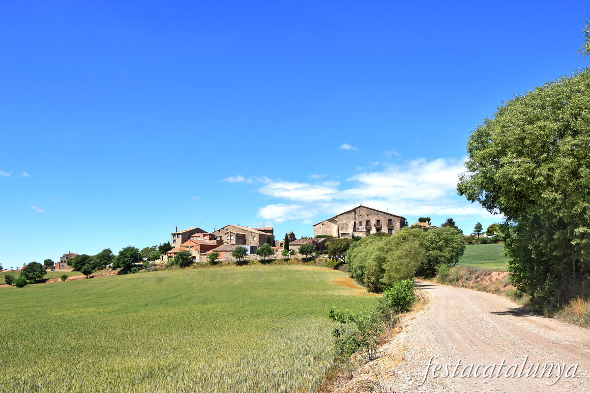 La Fortesa a Sant Pere Sallavinera