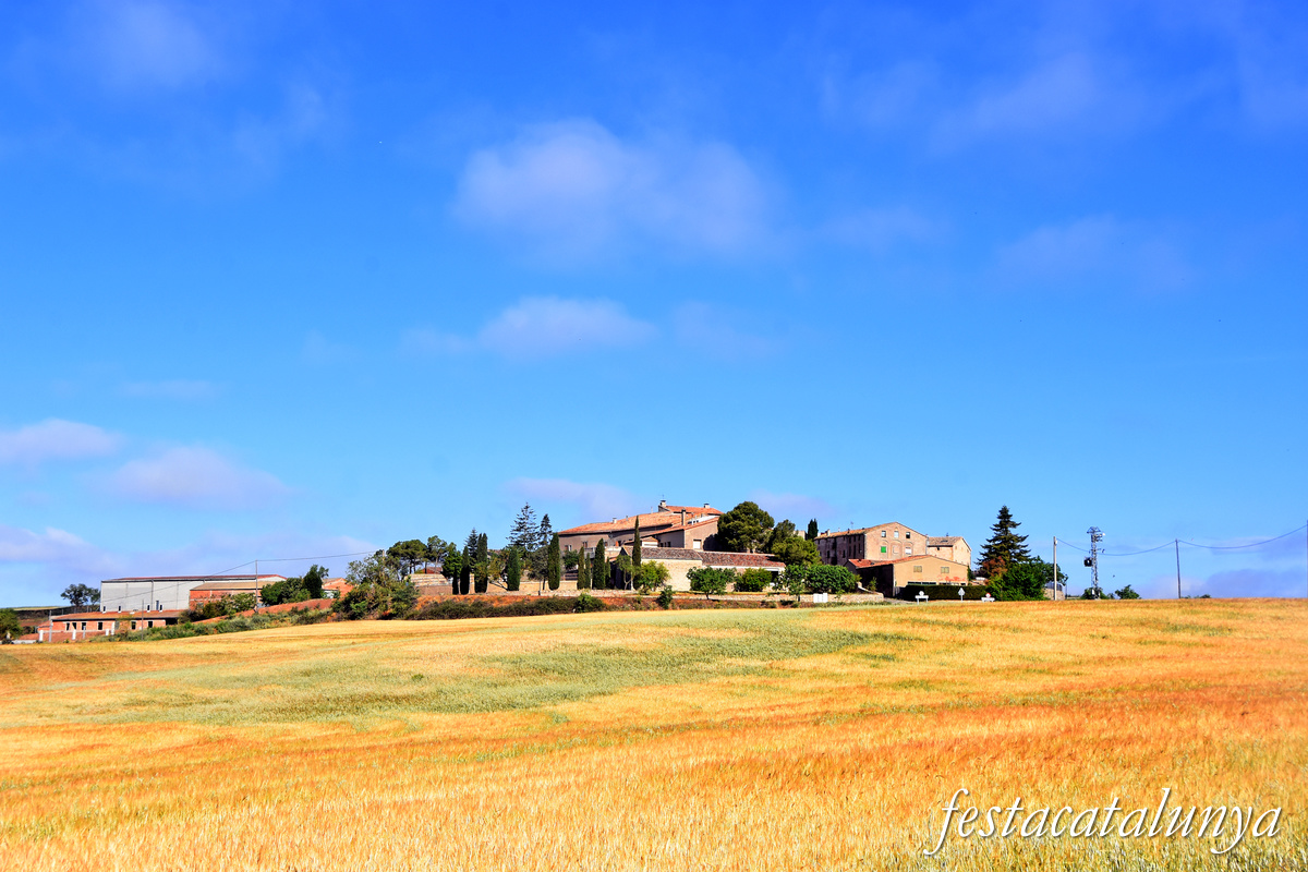 La Llavinera a Sant Pere Sallavinera