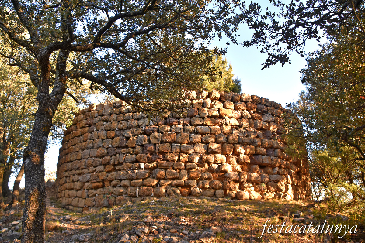 Castell de Meià ***
