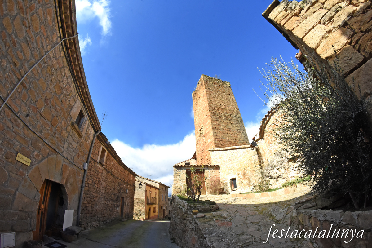 Vilves a Artesa de Segre