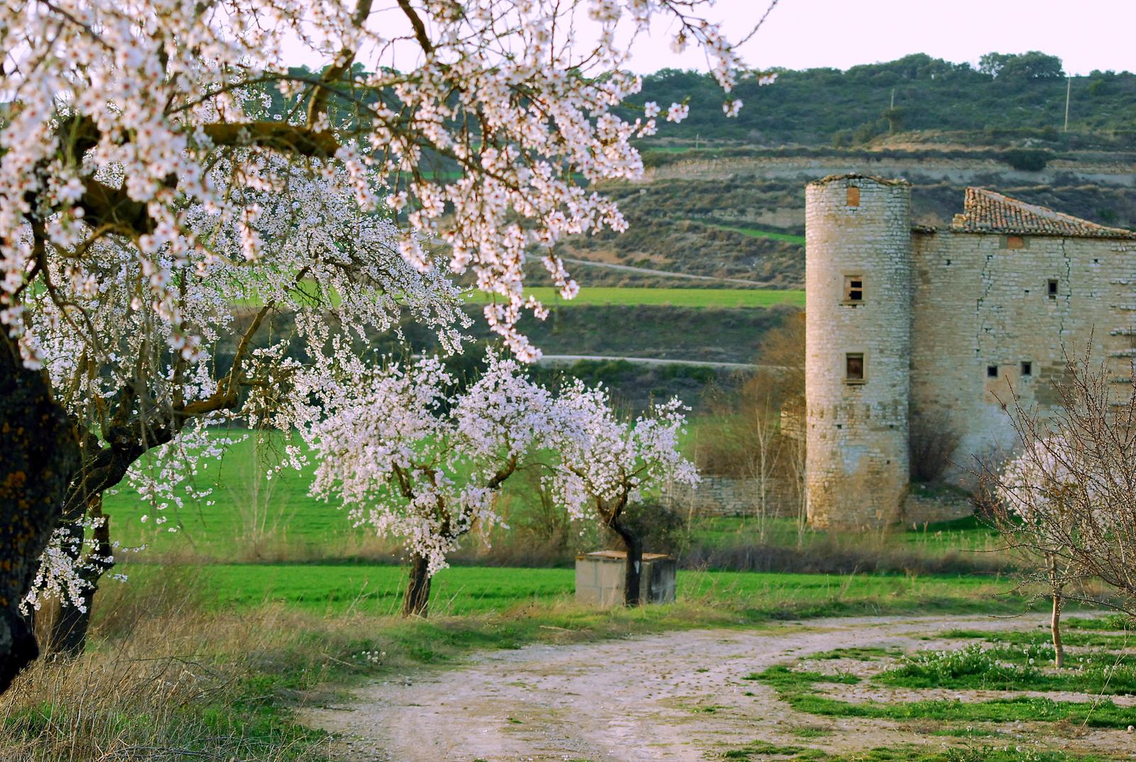 Granyanella - Rutes - Ruta del Camí Ral 