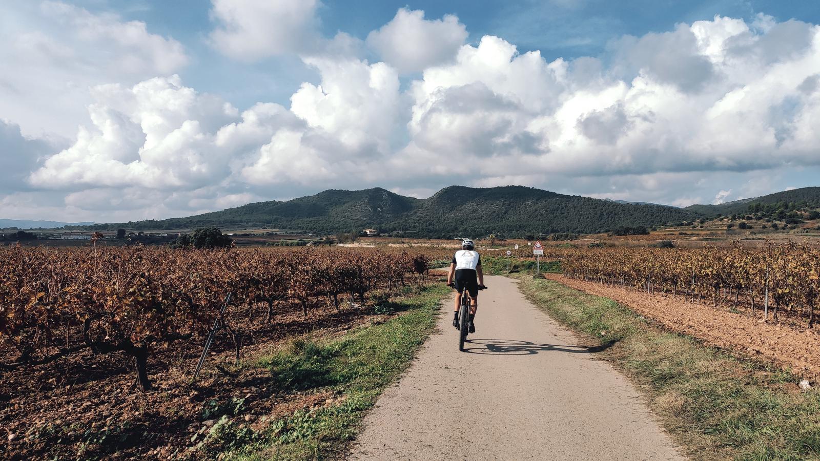 Sant Jaume dels Domenys - Rutes 