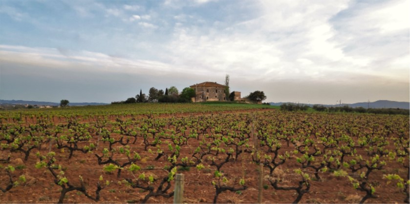 Sant Jaume dels Domenys - Rutes 