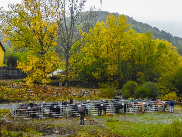 Vilaller - Fira de Tots Sants (Foto: www.ajuntamentdevilaller.cat) 