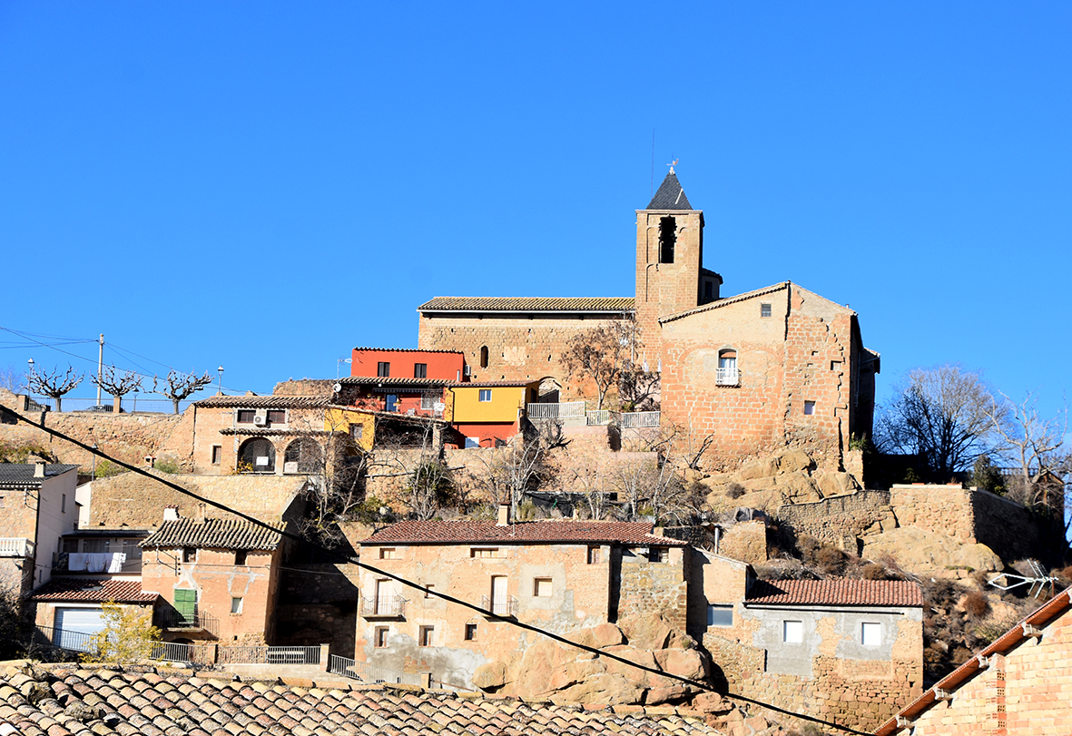 Oliola