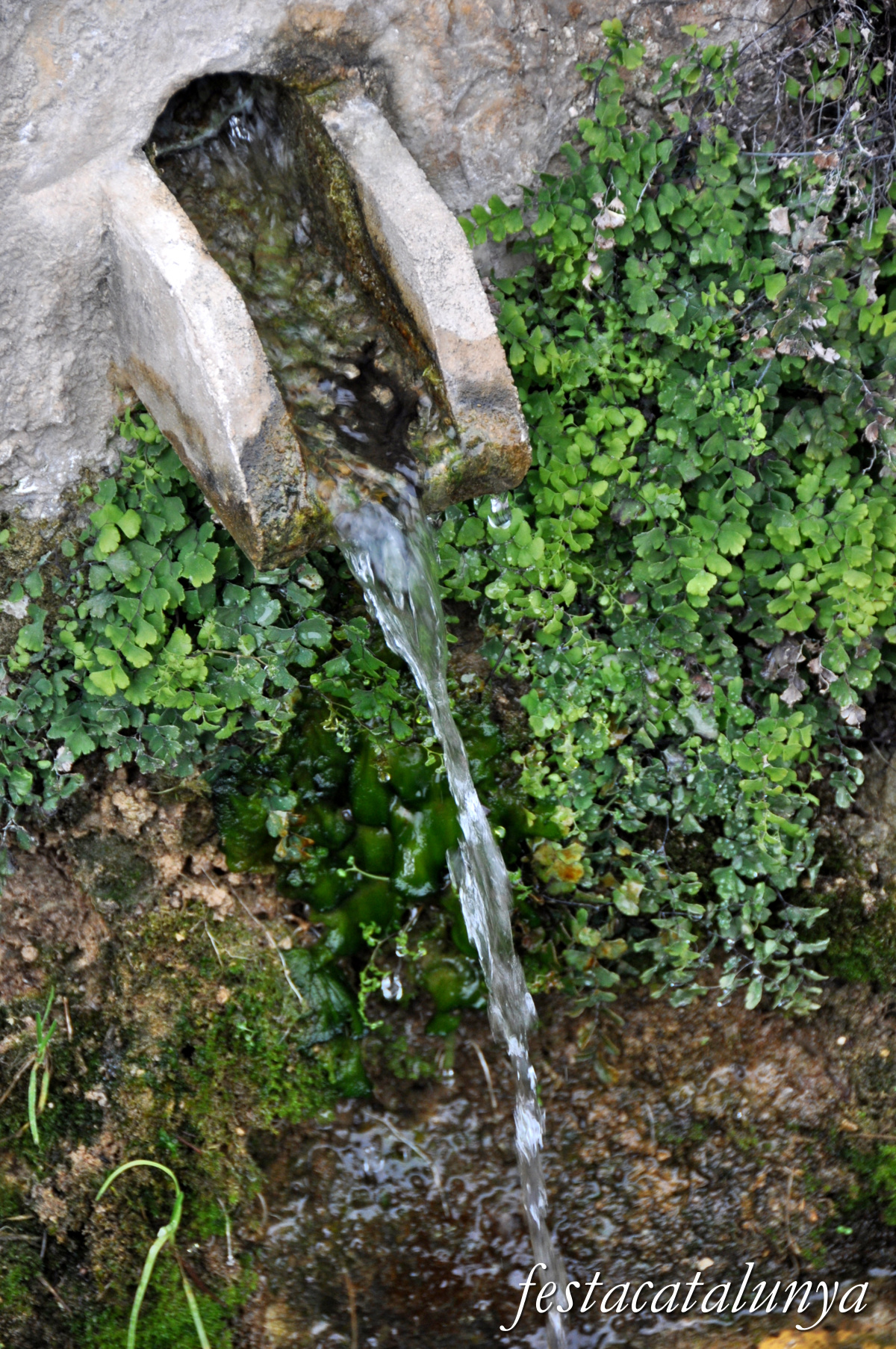 Torrelles de Foix - Ruta de les Fonts 