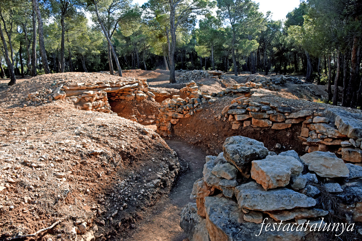 Vilalba dels Arcs - Els Barrancs, Espai de la Batalla de l'Ebre