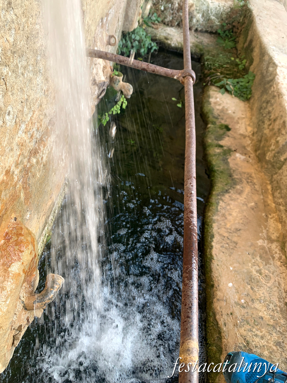 Vilalba dels Arcs - Rentadors de la Font