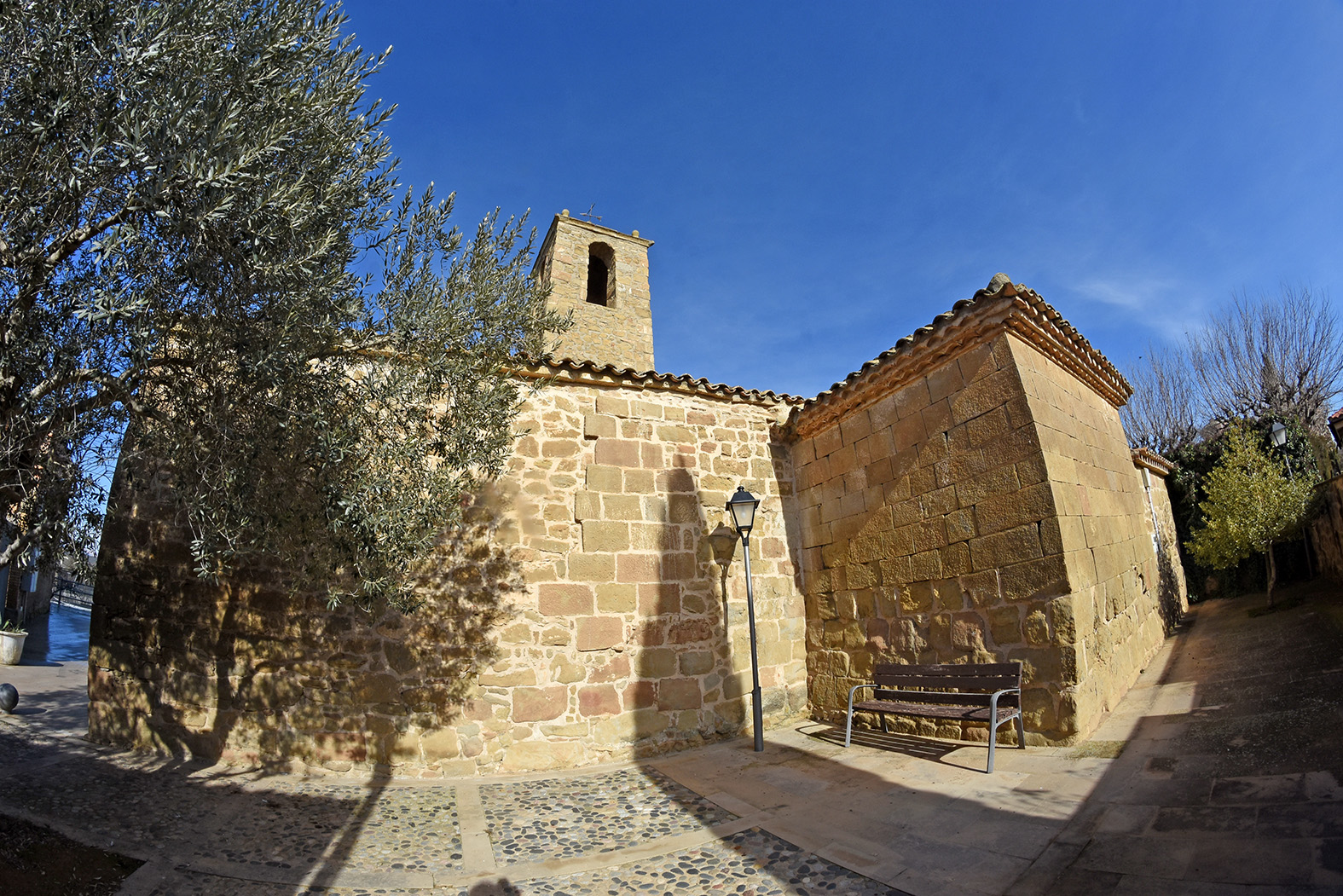 Plandogau a Oliola