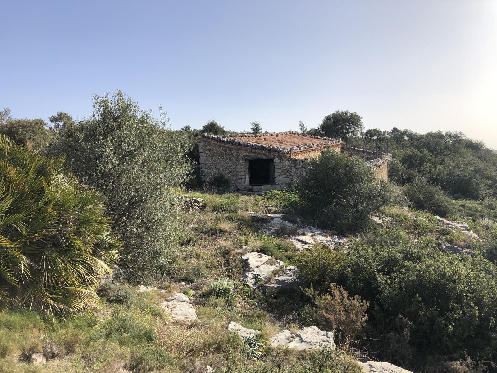 Ruta: Camí fluvial del riu Sénia (Autor Samorà)