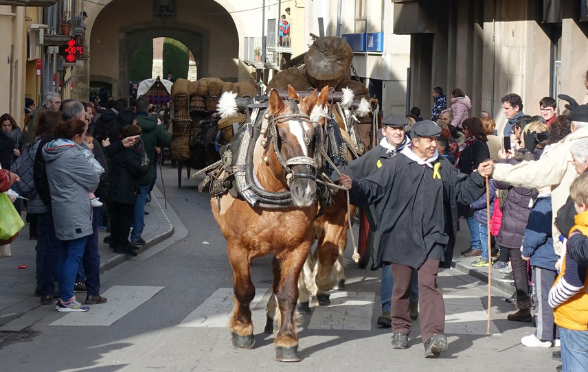 Festa de Sant Antoni Abat a Centelles