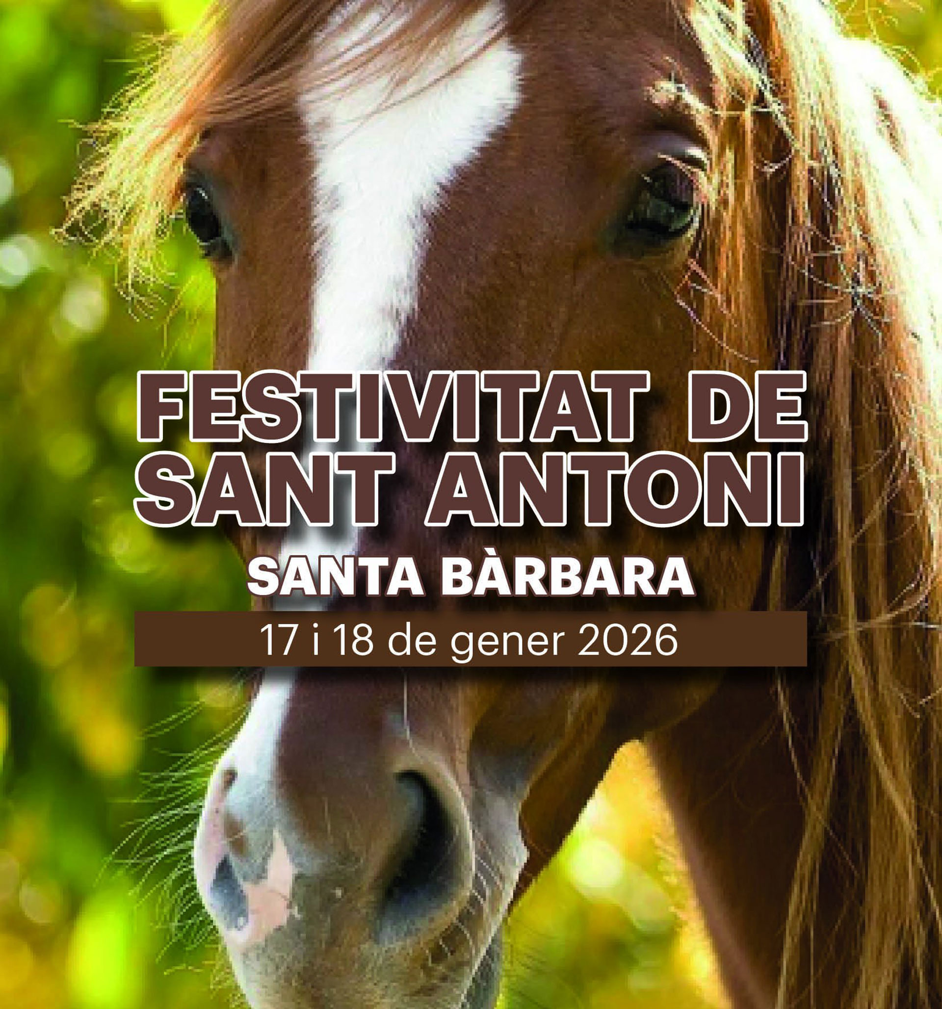 Santa Bàrbara - Festivitat de Sant Antoni