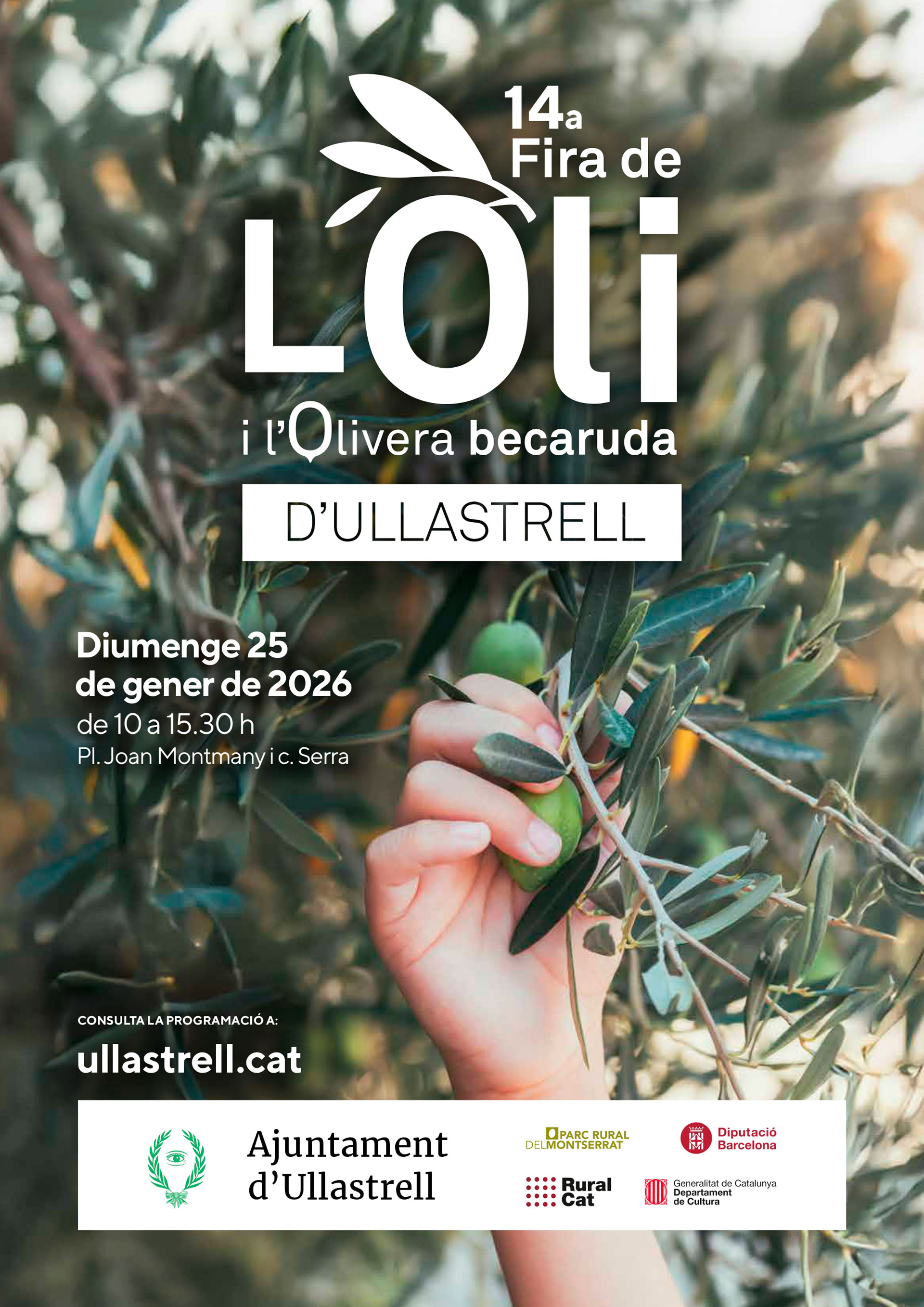 Ullastrell - Fira de l'Oli i l'olivera becaruda