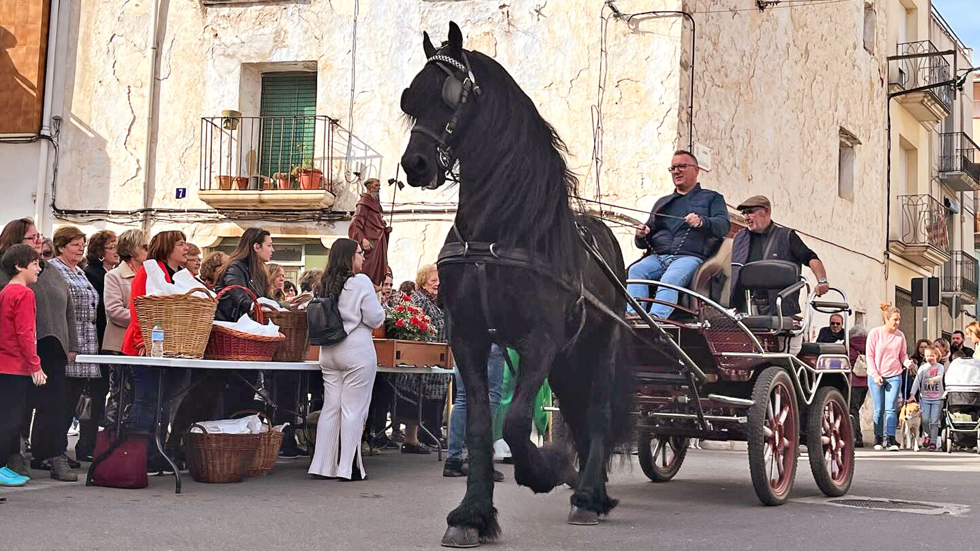 La Sénia - Festa de Sant Antoni (Foto: Ajuntament de La Sénia)