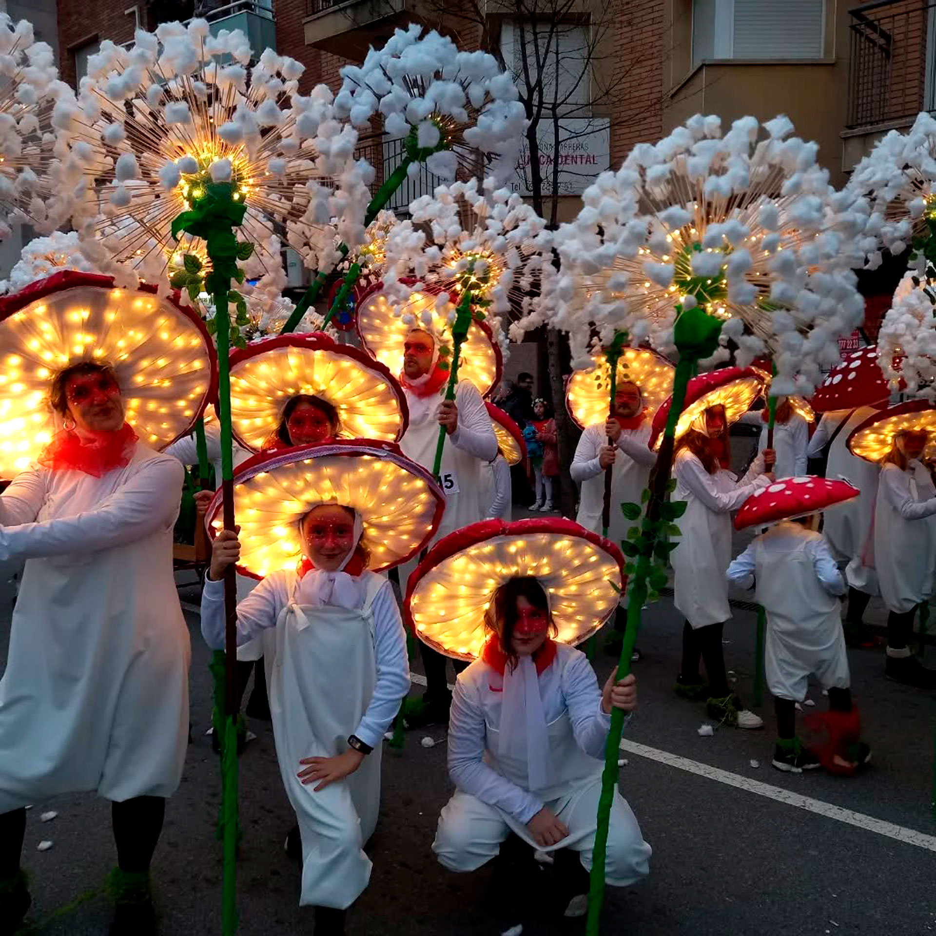 Olesa de Montserrat - Carnestoltes (Foto: Ajuntament d'Olesa de Montserrat)
