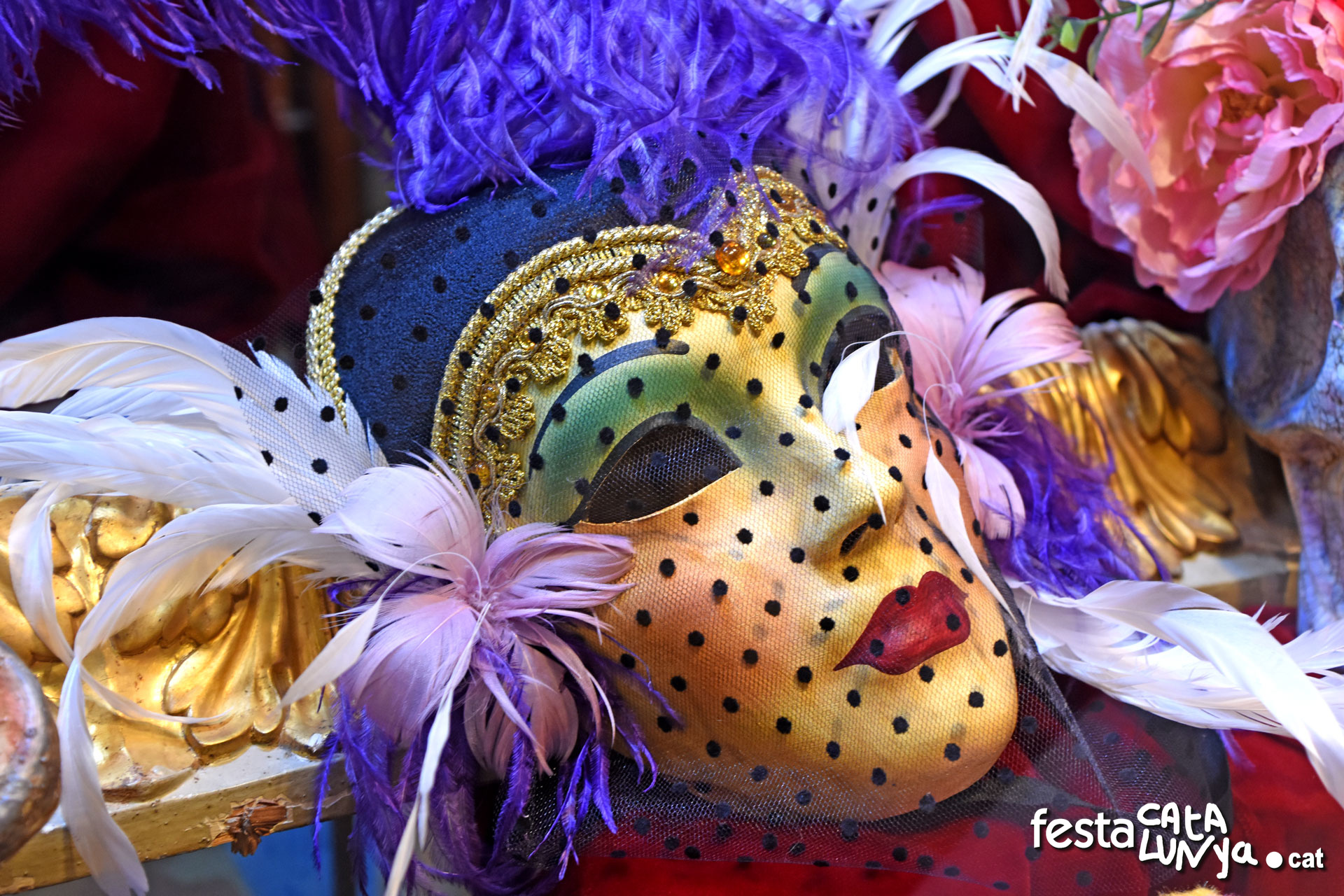 Carnestoltes a Seròs