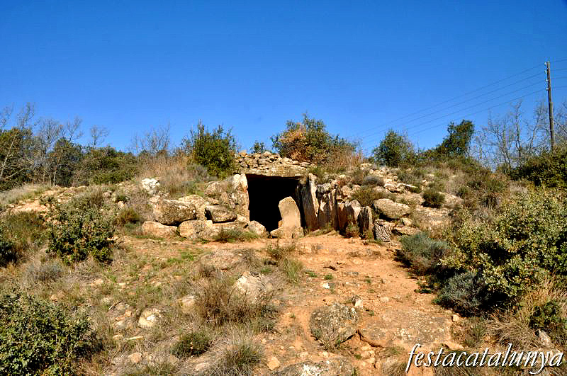 Torà - Dolmen de Llanera o de la Torre dels Moros