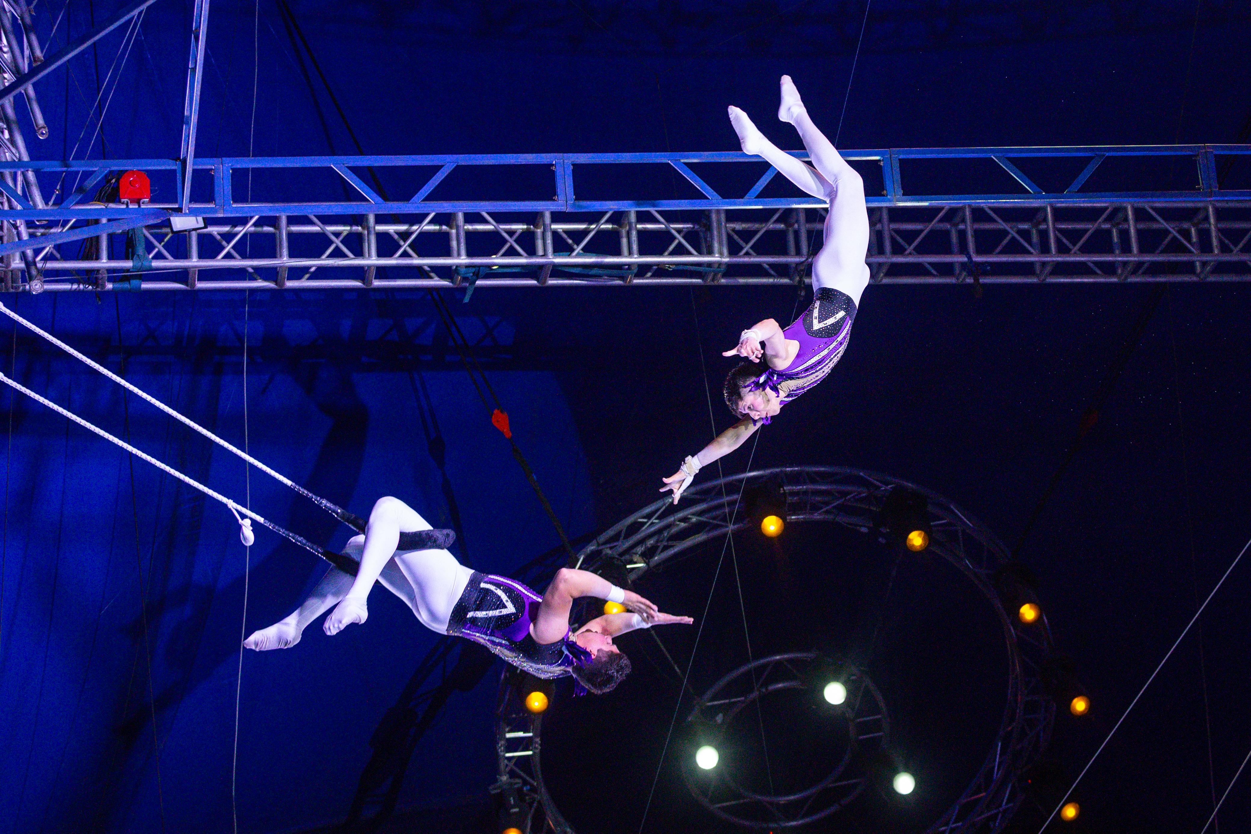 Festival Internacional del Circ de Girona