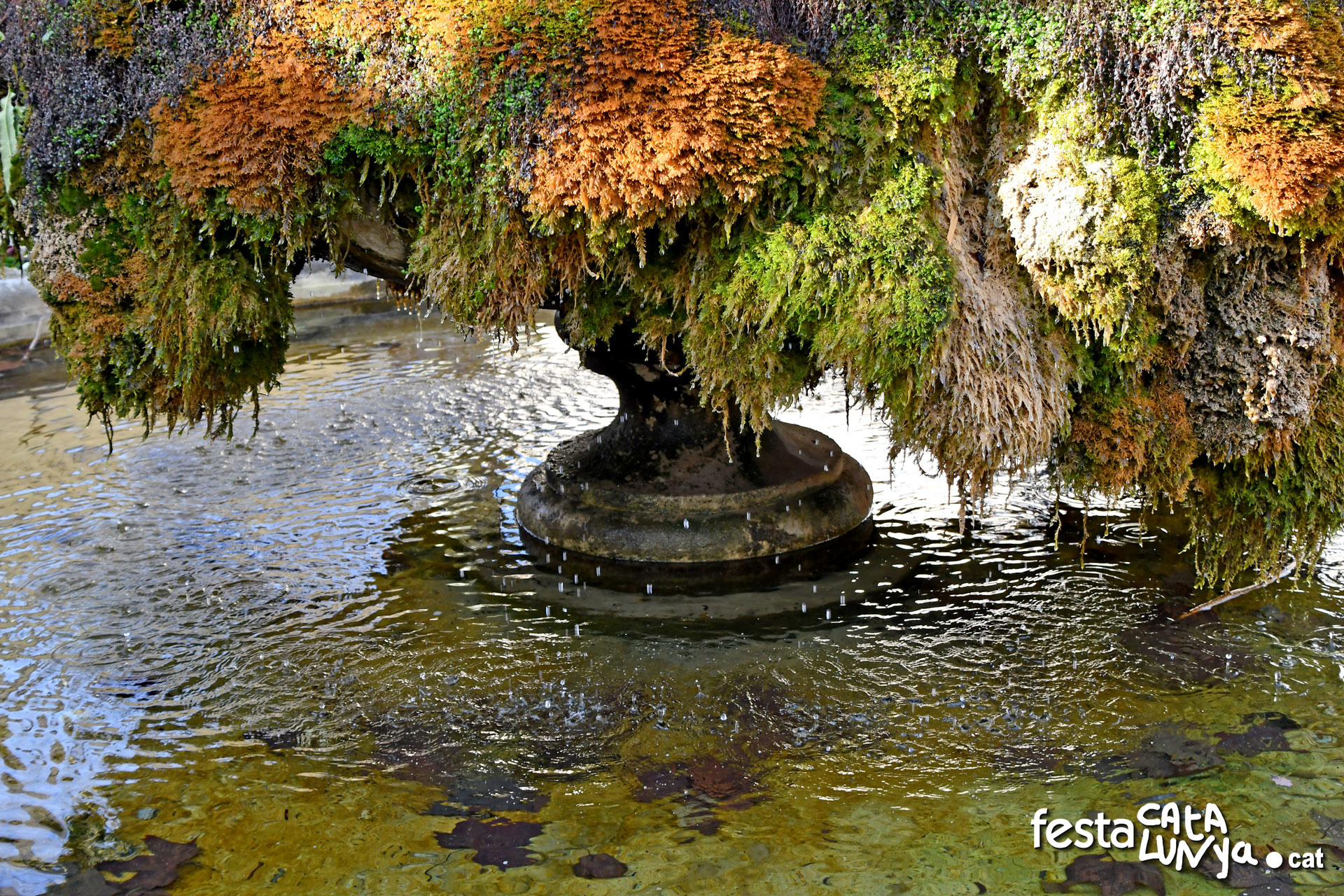 Sant Feliu de Pallerols - El "Lago"