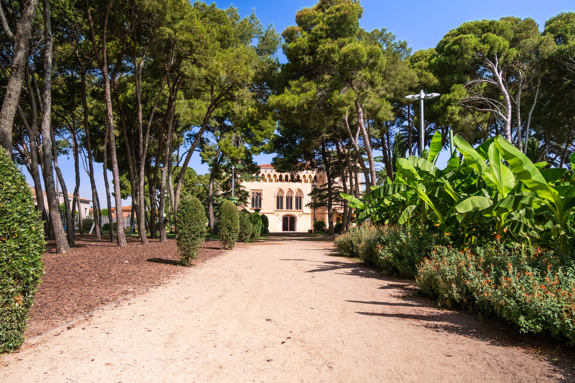 Visita el Castell de Vila-seca