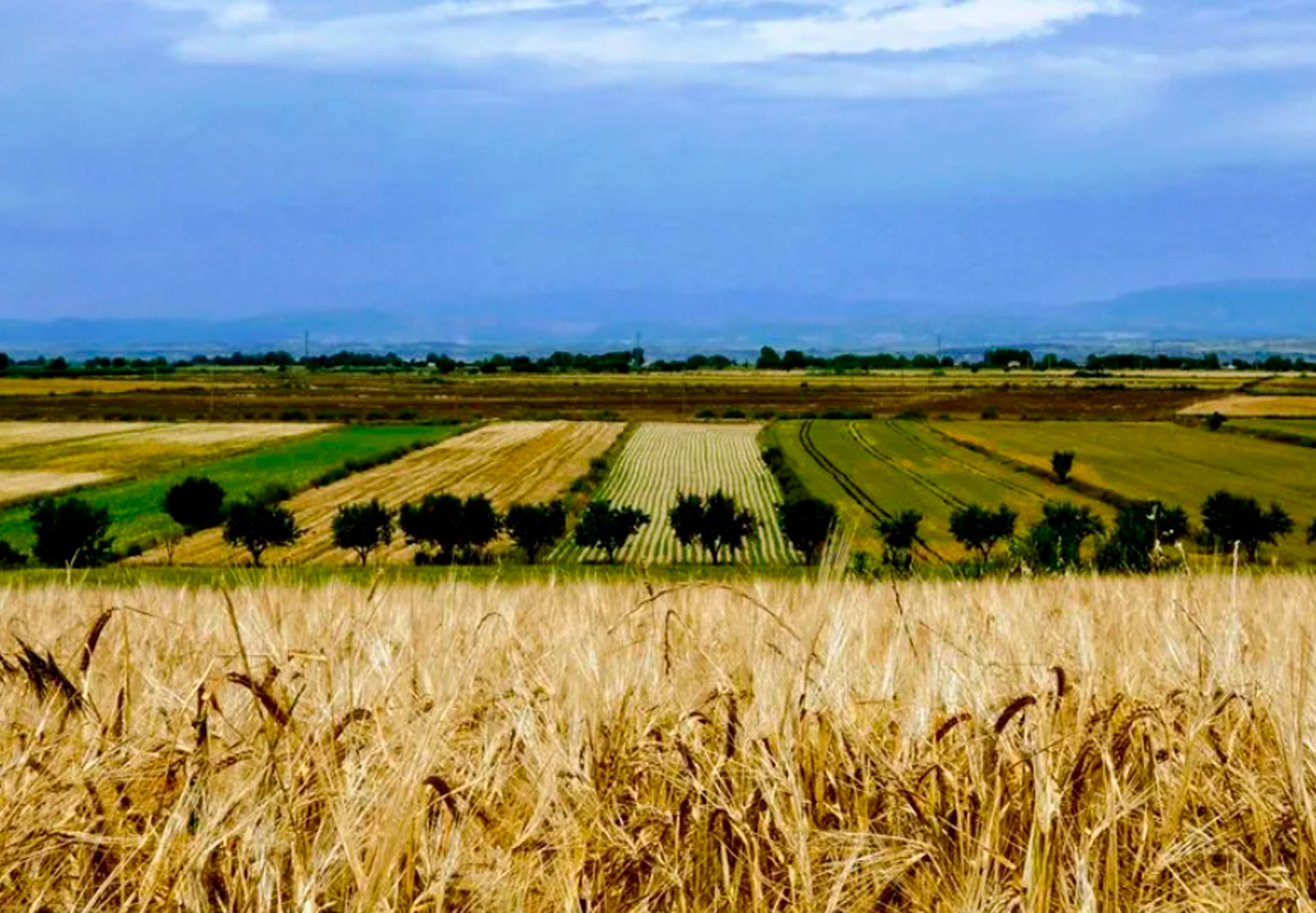 Marxa Lo Calvari de l'Urgell a Anglesola
