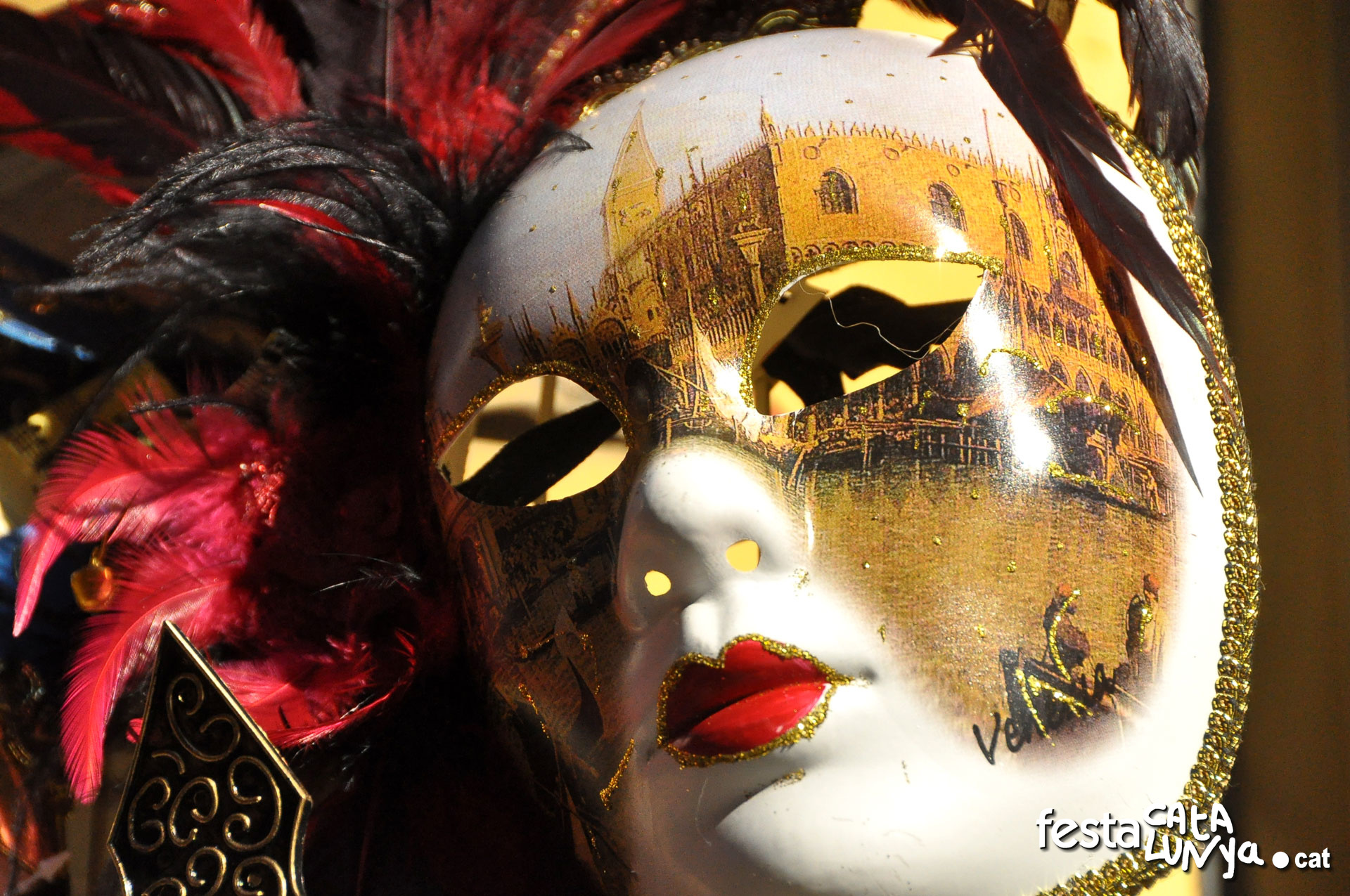 Carnestoltes a Roquetes