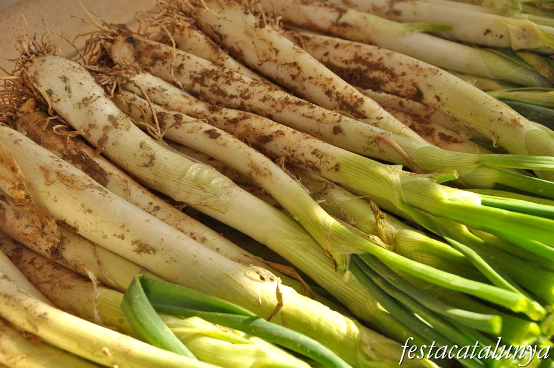 Fira de la Ceba i del Calçot a Vila-sacra
