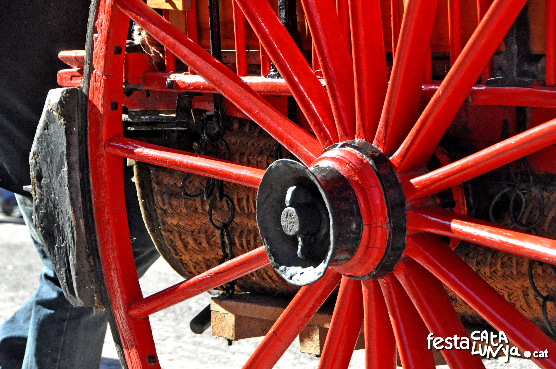 Sanaüja - Festa de Sant Antoni Abat