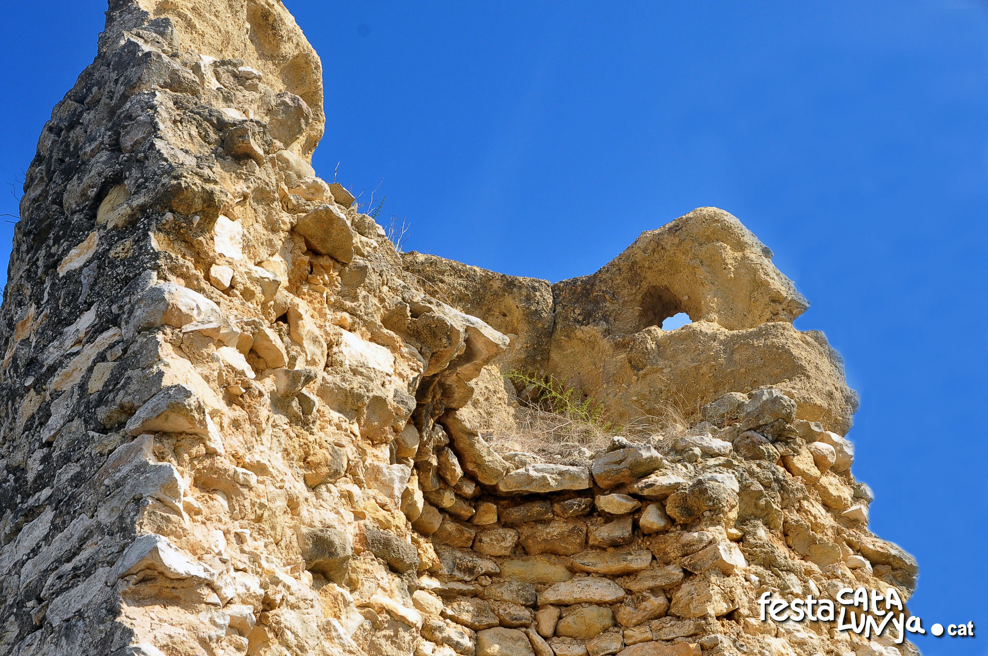 La Torre de l'Abella a Ardenya