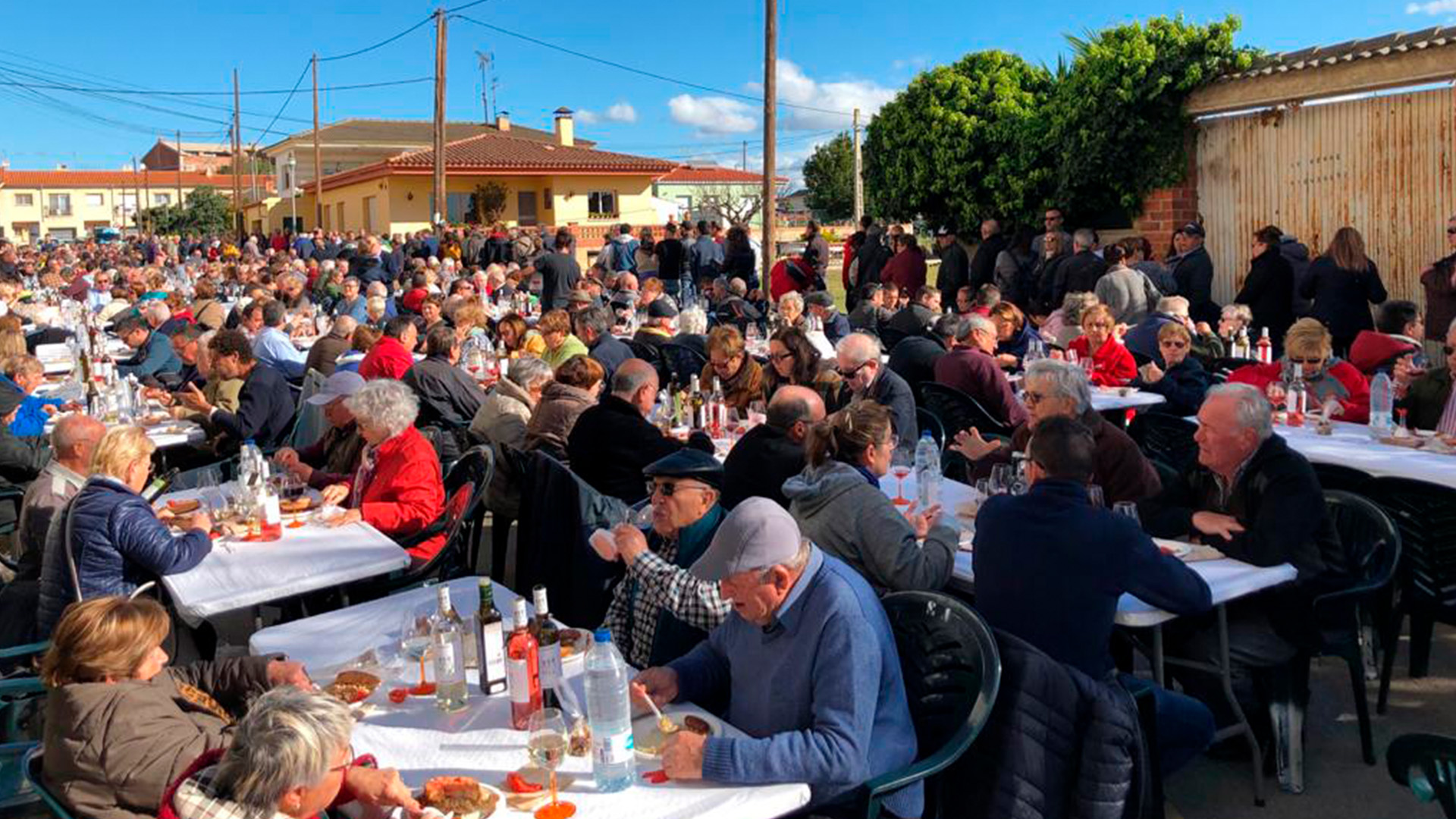 Festa del Soci de Sant Jaume dels Domenys