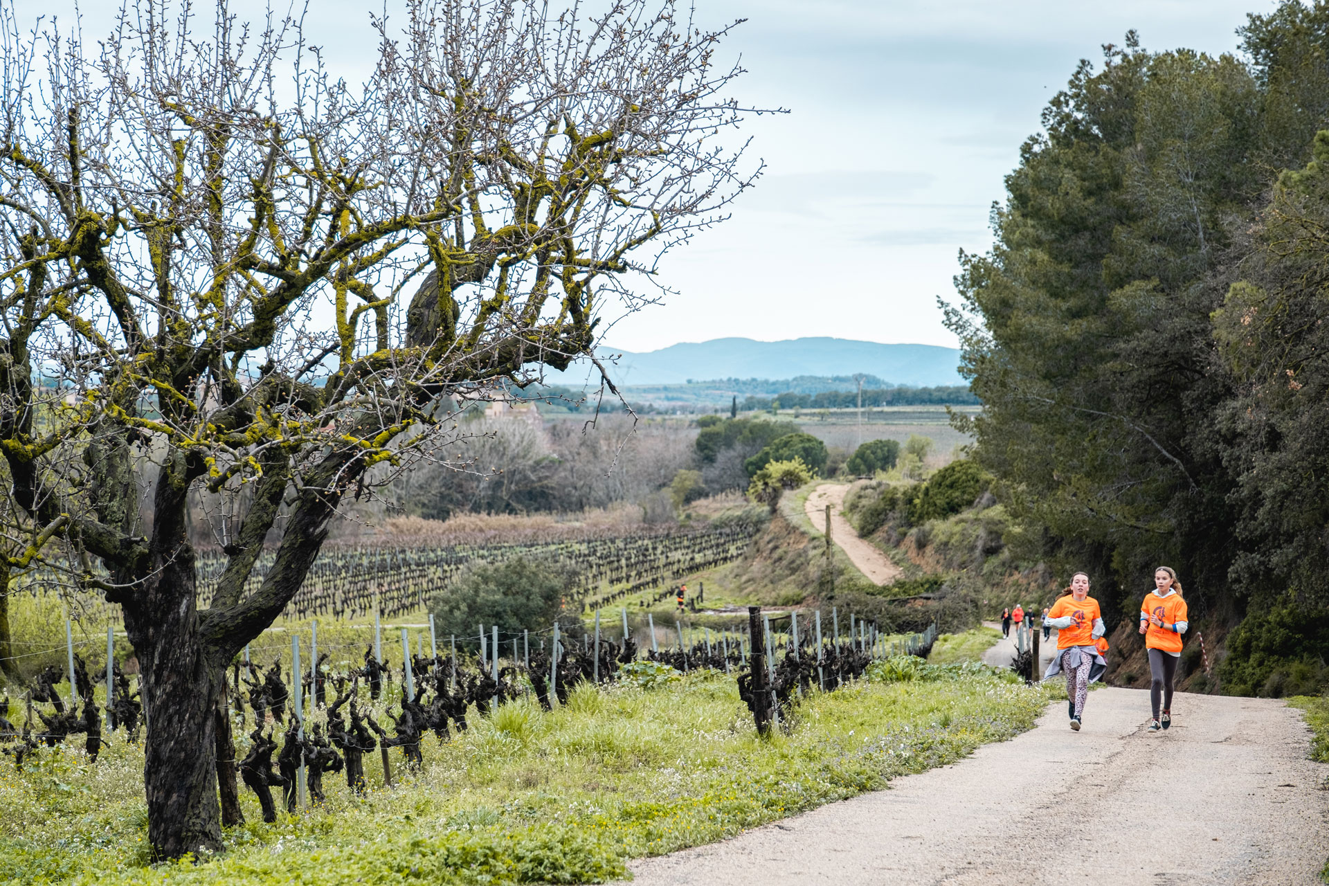 Subirats - Cursa de la Dona (Foto: Ajuntament de Subirats)