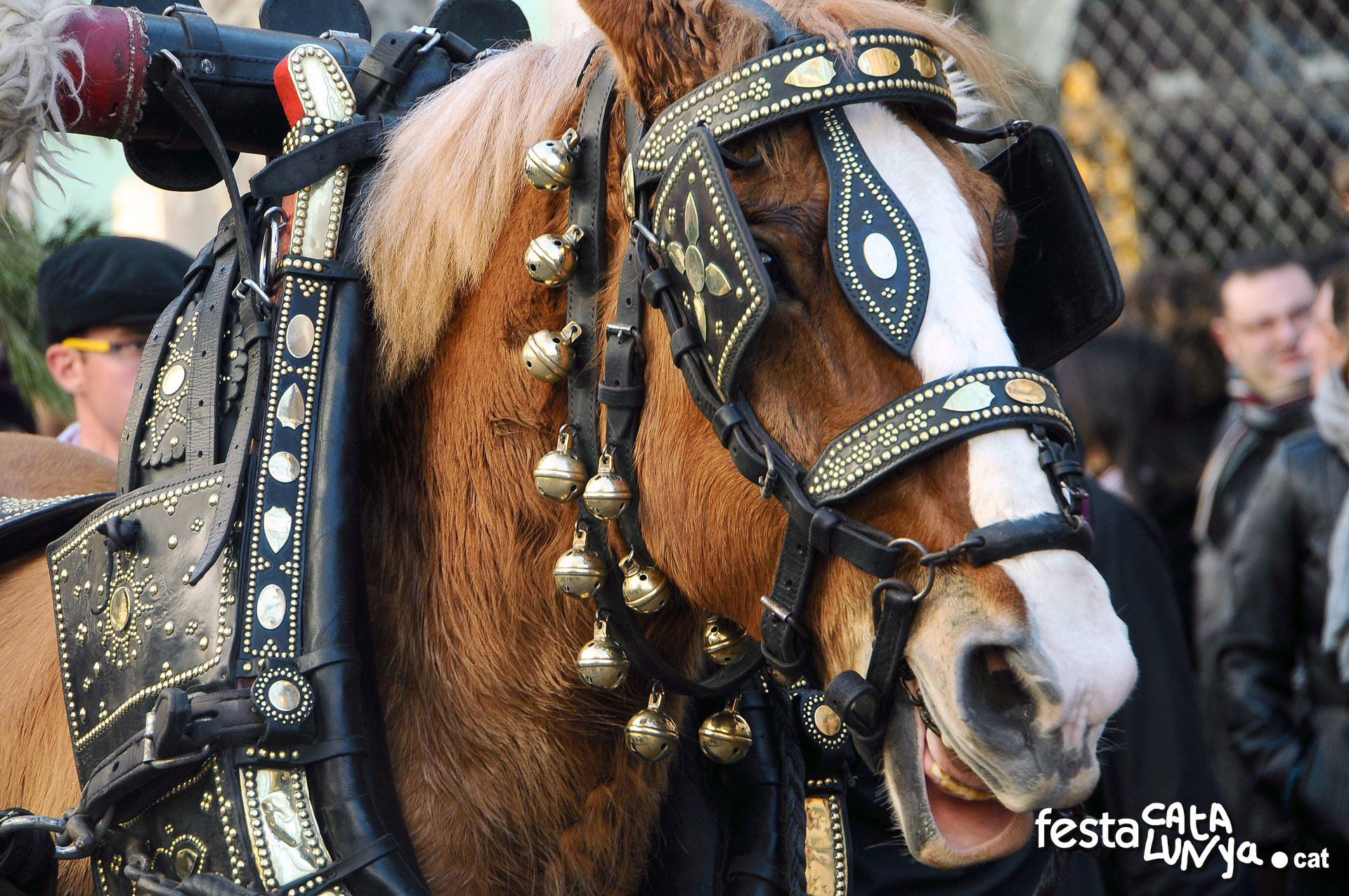 Tres Tombs a Bigues i Riells del Fai