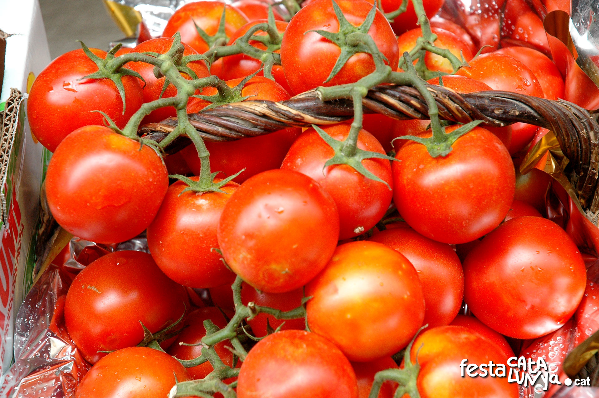 Les Masies de Voltregà - Mercat setmanal