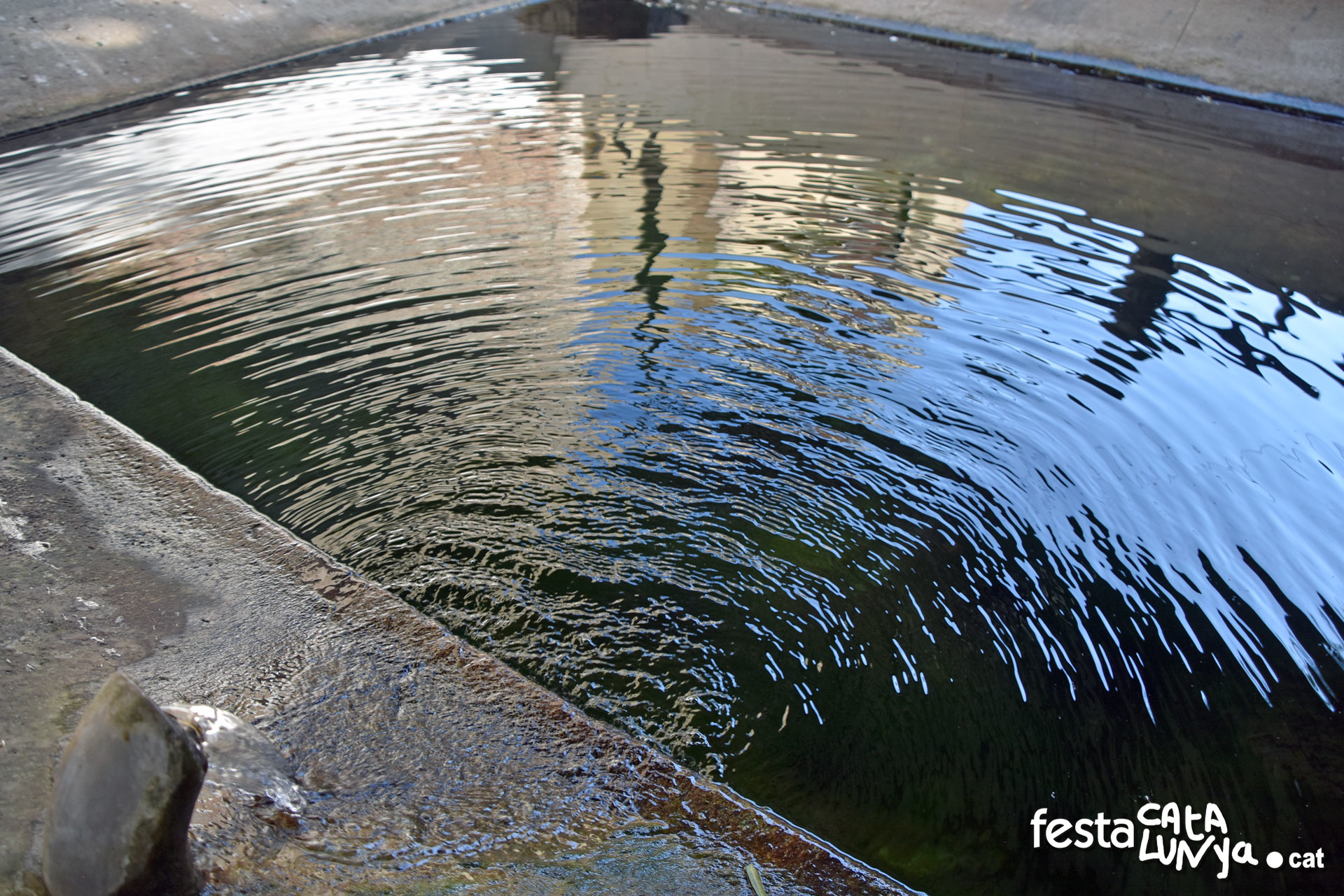 Safareig de Vallbona d'Anoia