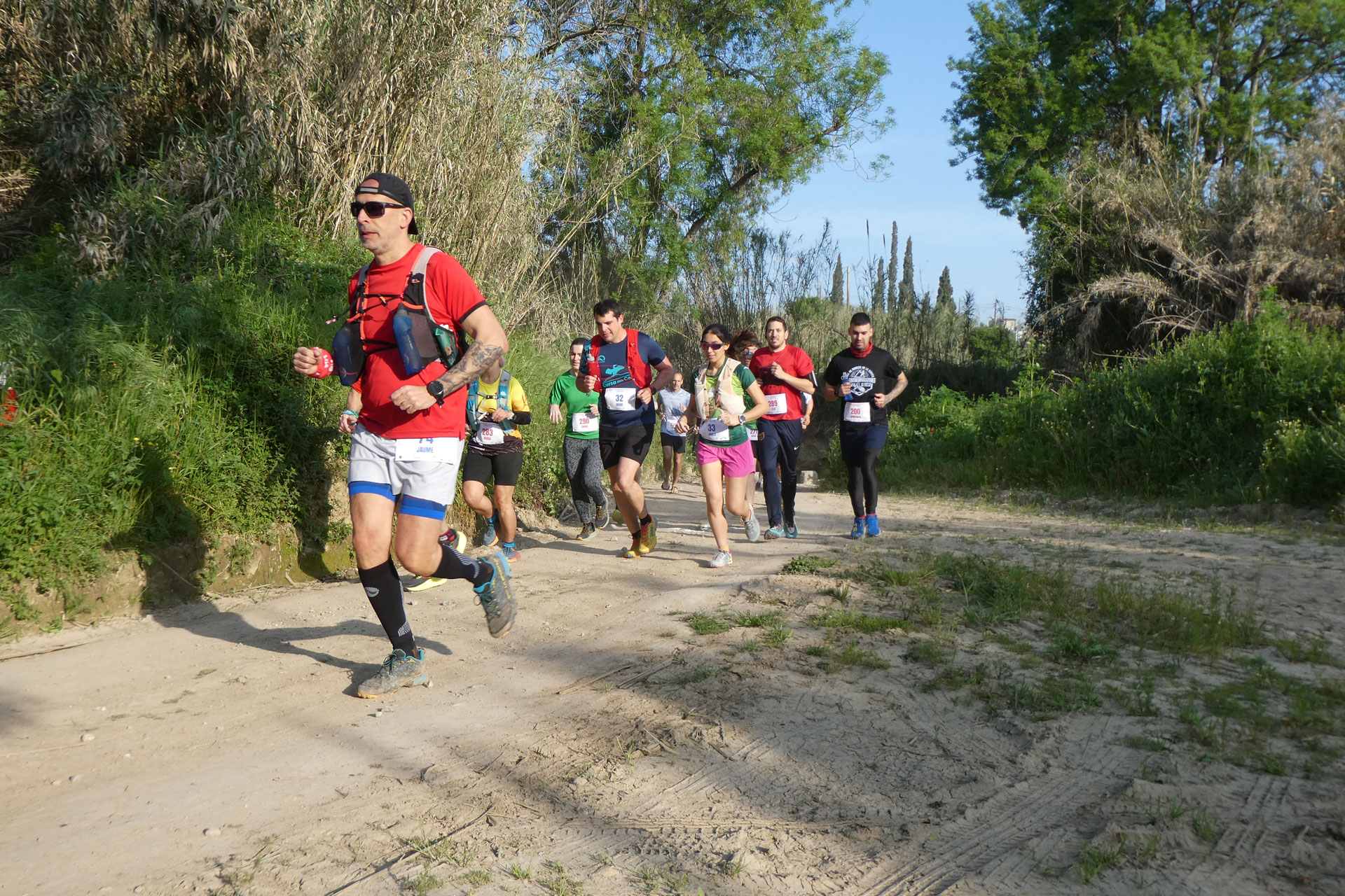 Rebentaespardenyes a la Ràpita (Santa Margarida i els Monjos)