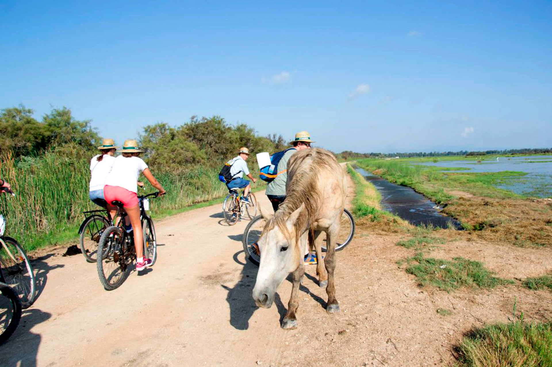 Sant Jaume d'Enveja - Buda&Bike, L'Illa de Buda a cop de pedal (Foto: www.santjaumeturisme.cat)