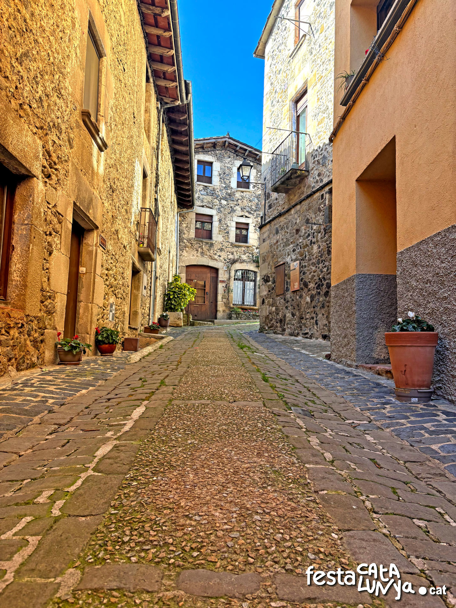 Sant Feliu de Pallerols - Carrer del Puig
