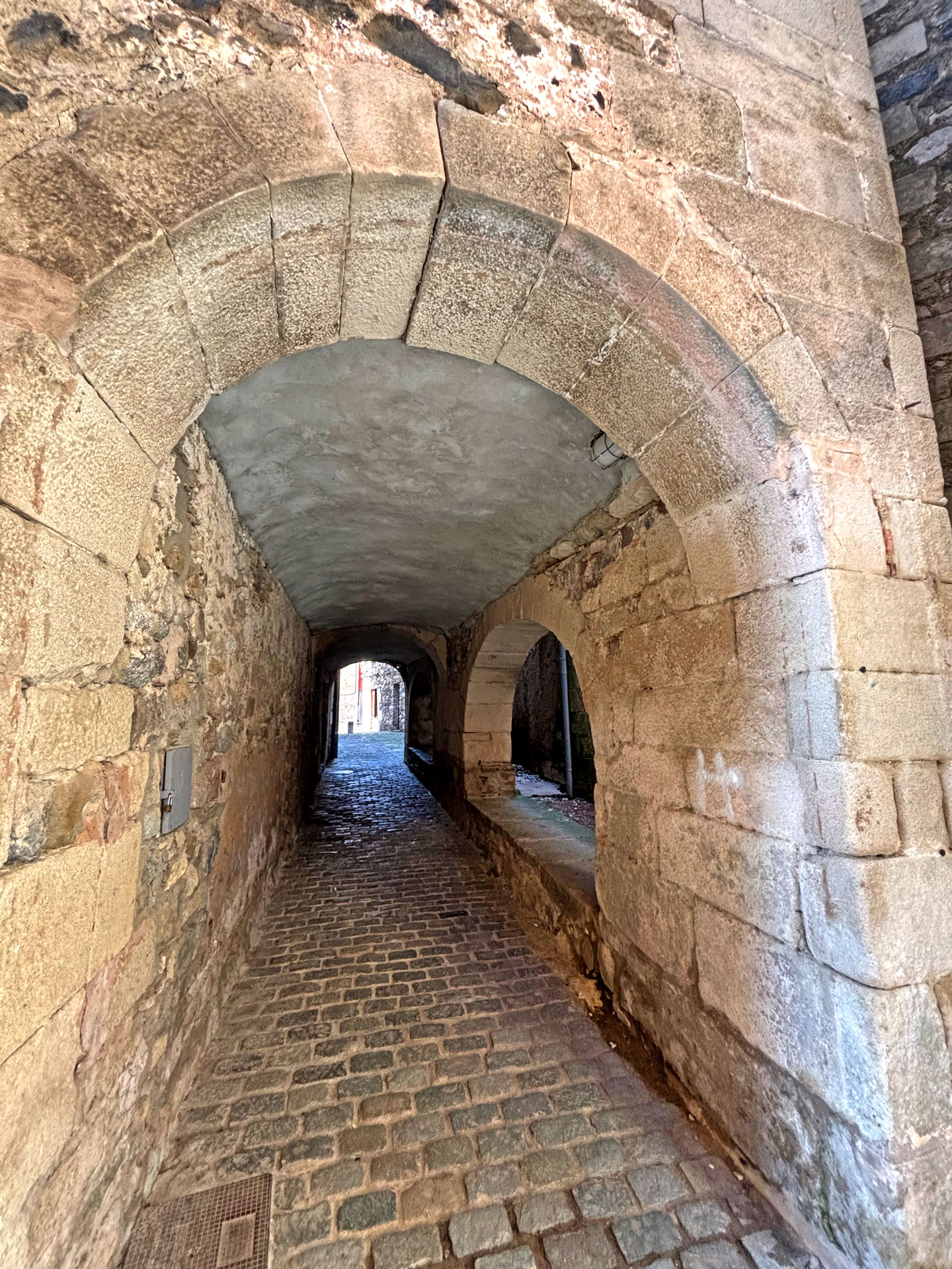 Sant Feliu de Pallerols - Sagrera