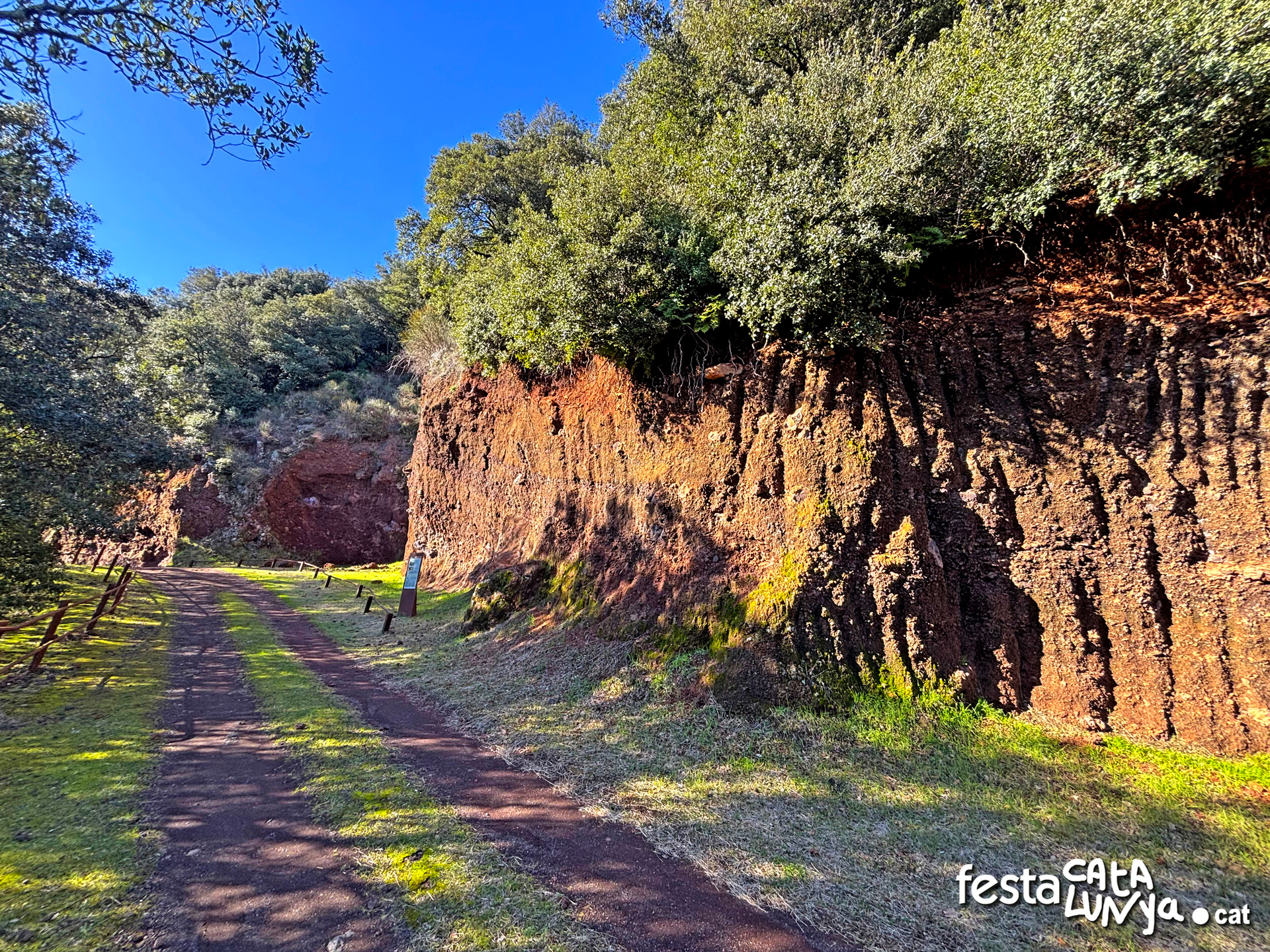 Sant Feliu de Pallerols - Gredera del volcà de Sant Marc