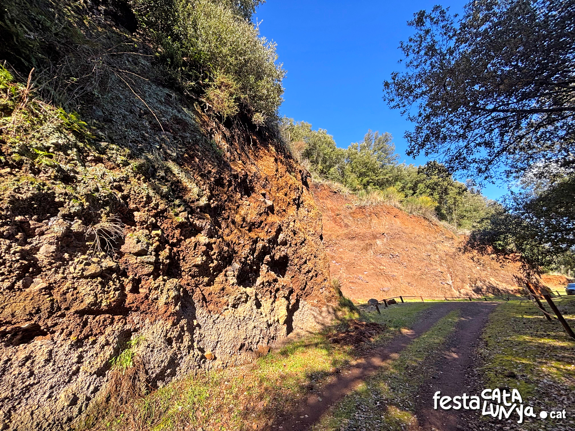 Sant Feliu de Pallerols - Gredera del volcà de Sant Marc
