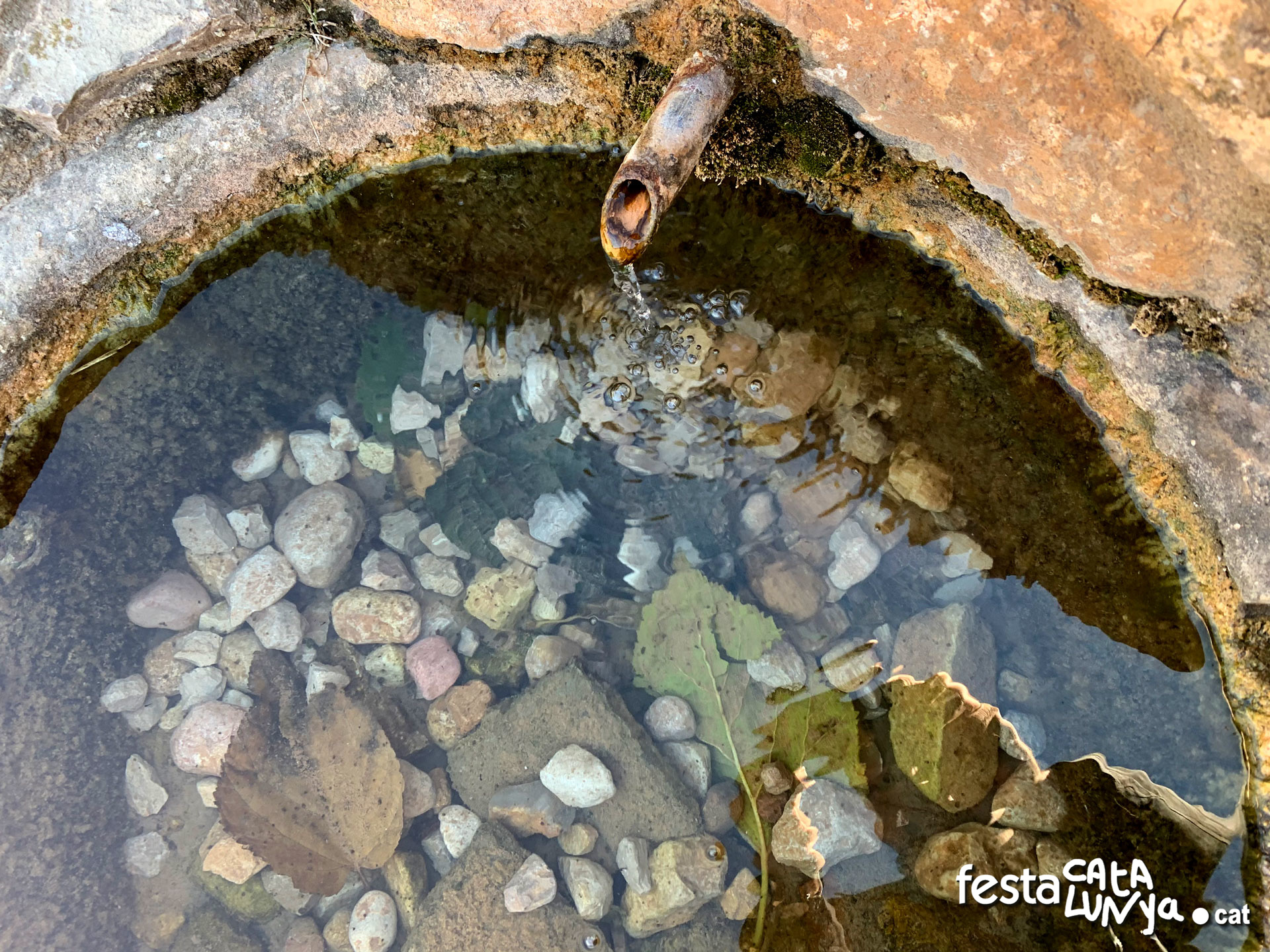 Font de Cabarrà de Cabra del Camp