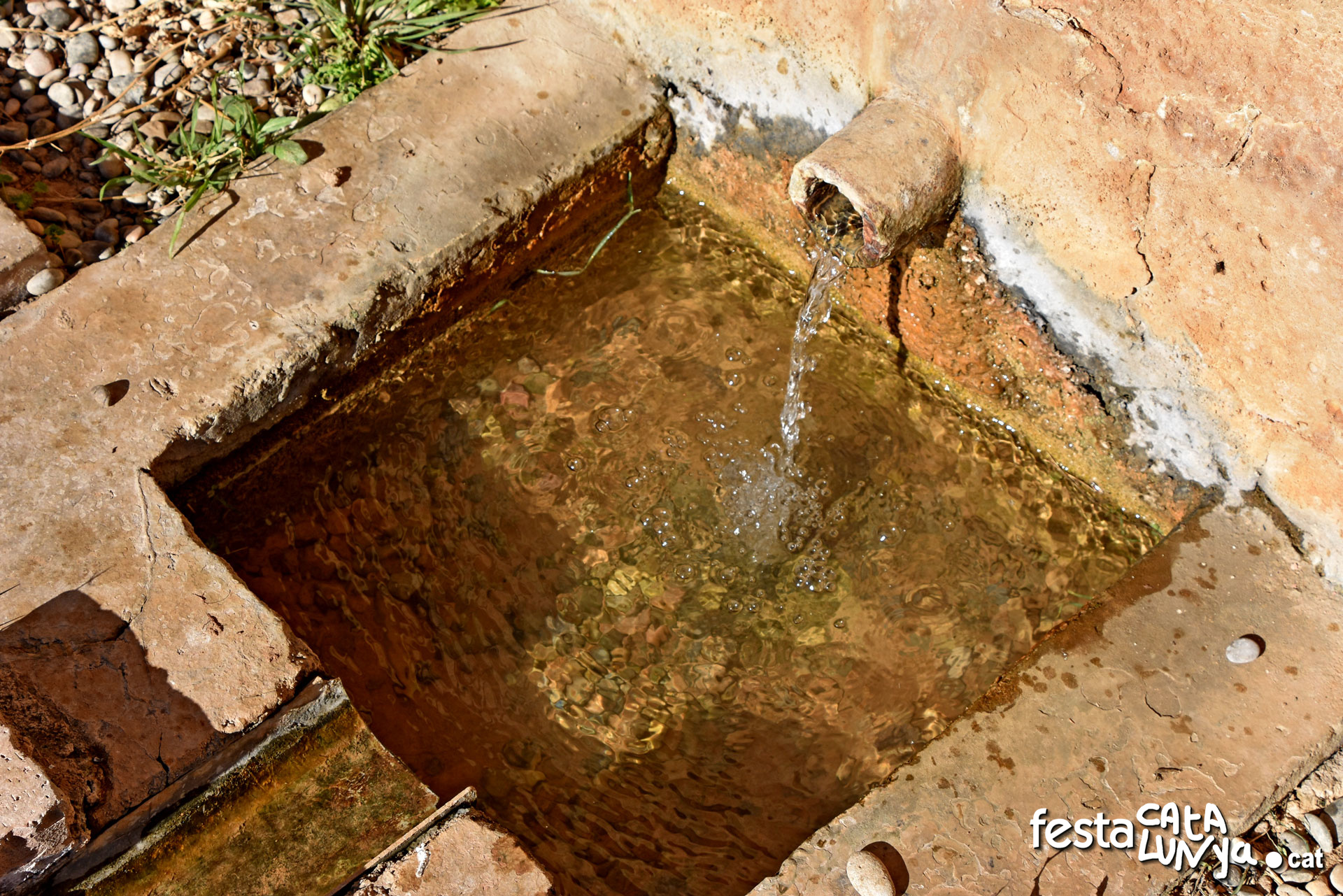 Font de Conill de Cabra del Camp