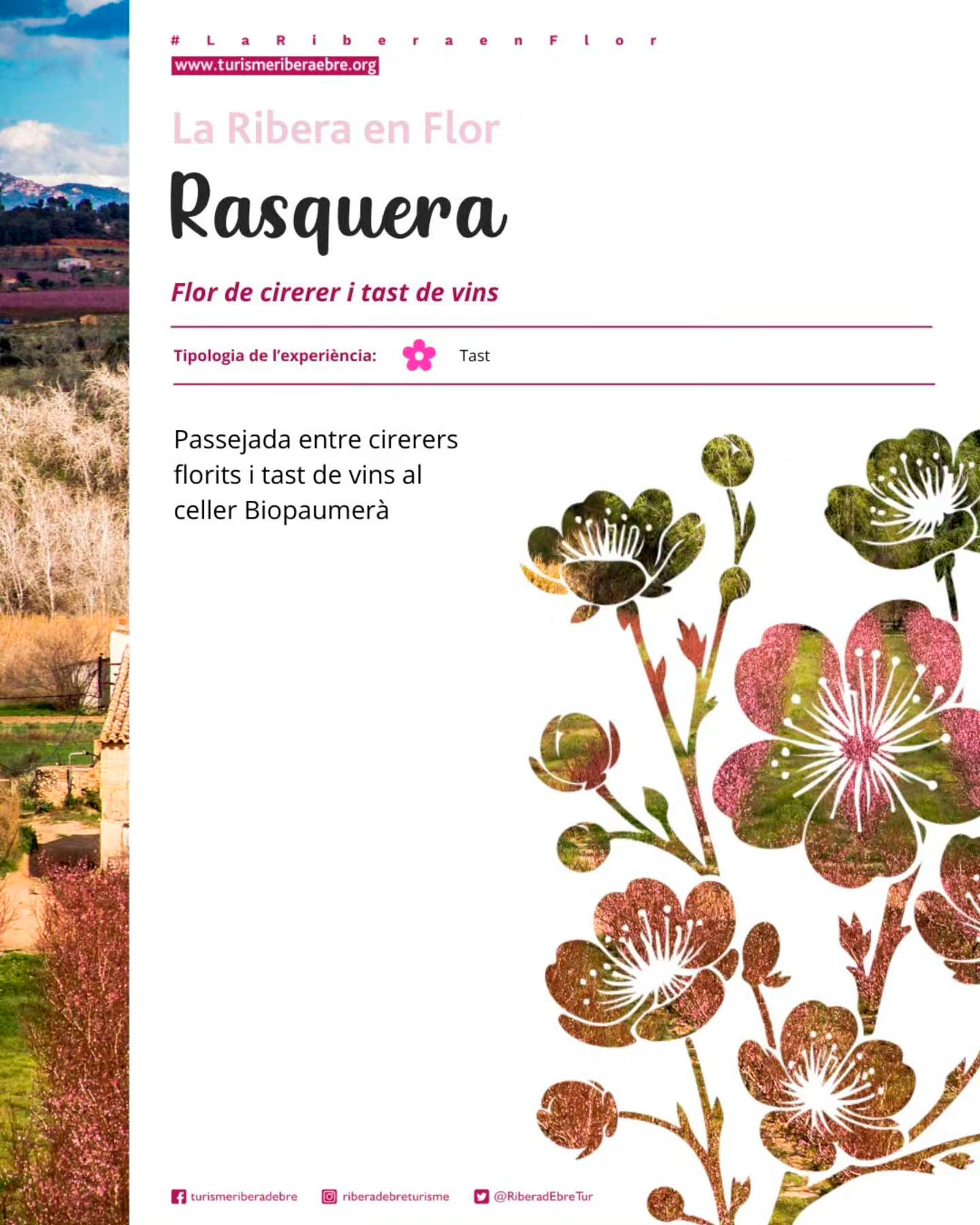 Rasquera - Passejada entre cirerers florits i tast de vins