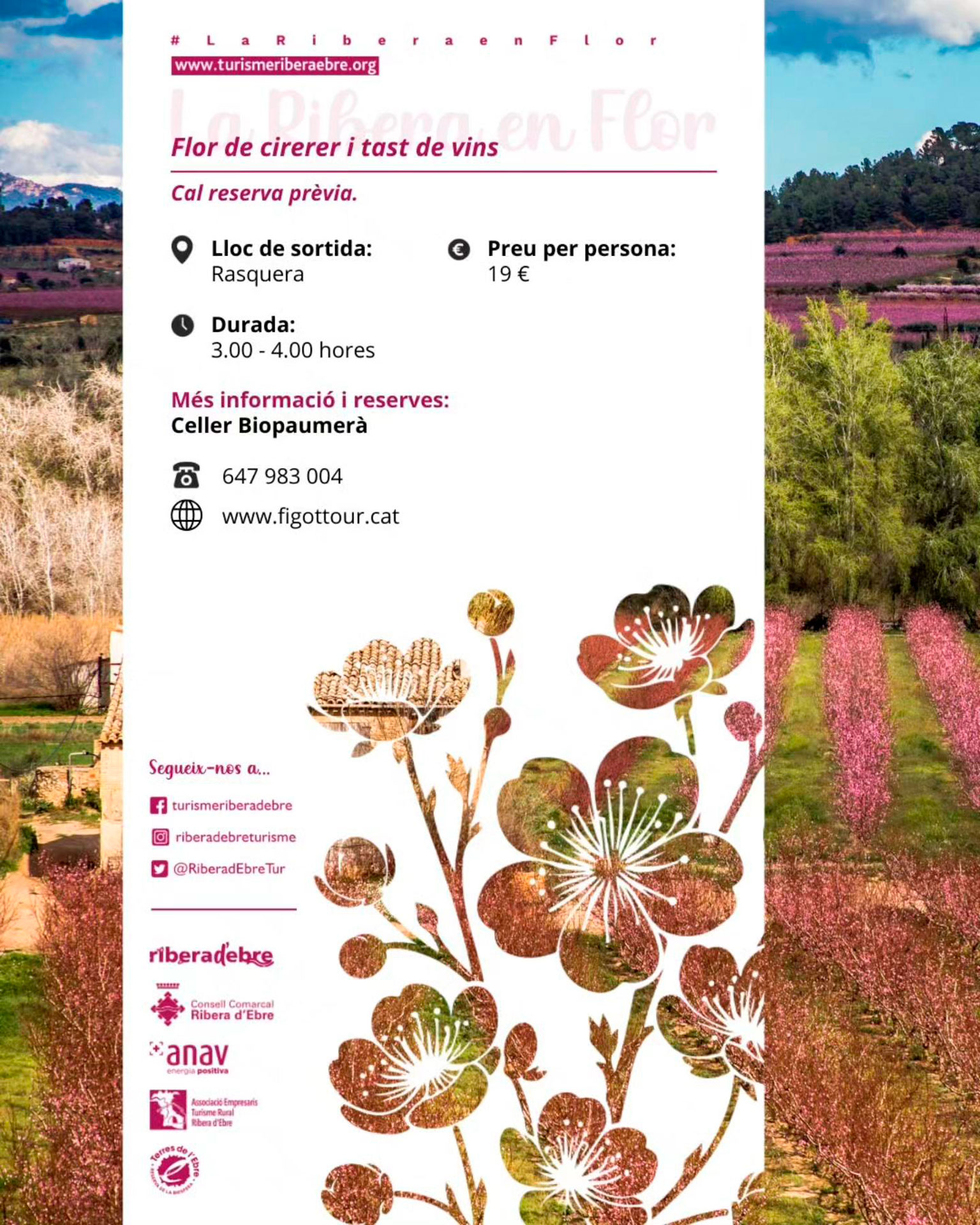 Rasquera - Passejada entre cirerers florits i tast de vins