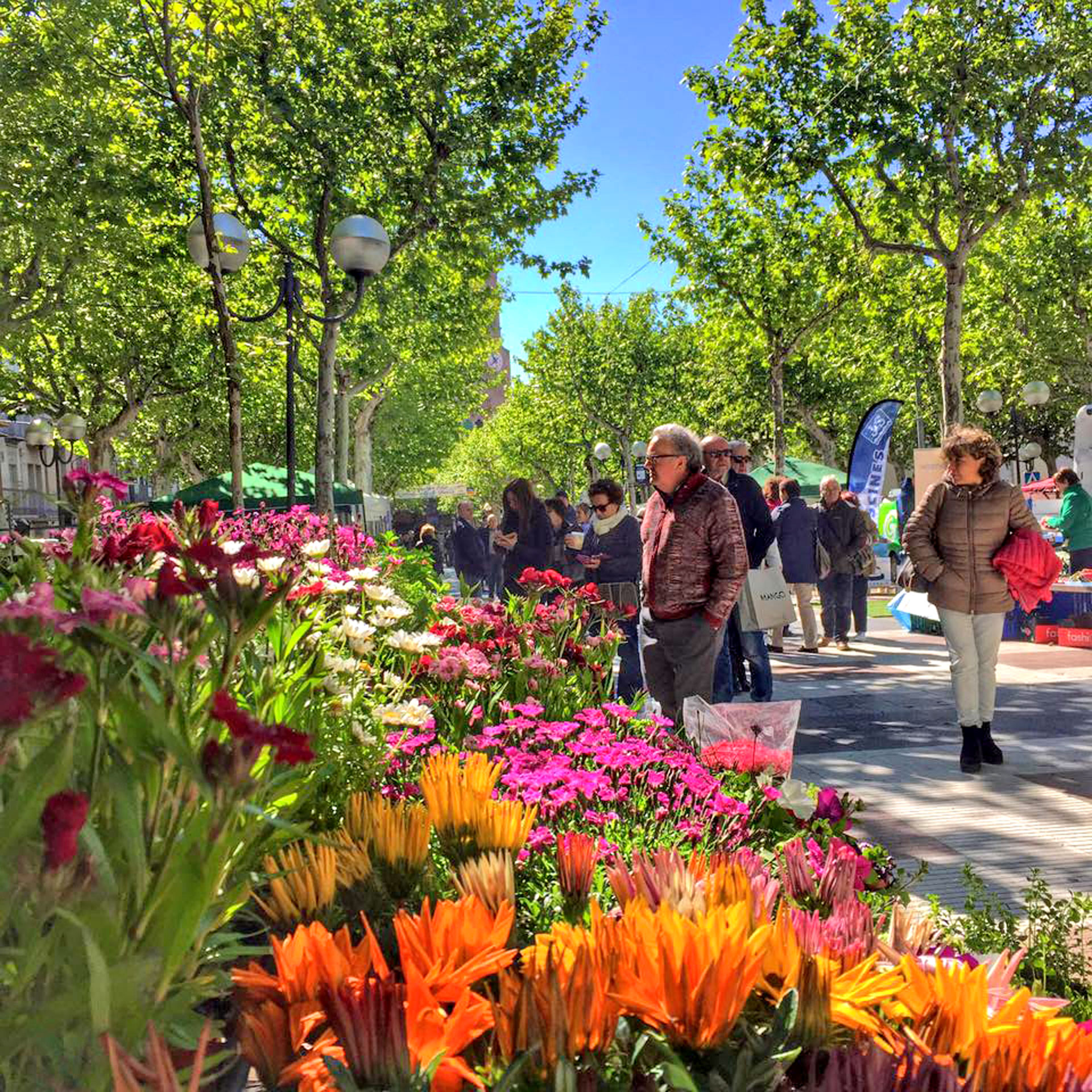 Olot - Fira de la Primavera (Foto: www.descobreixolot.cat)