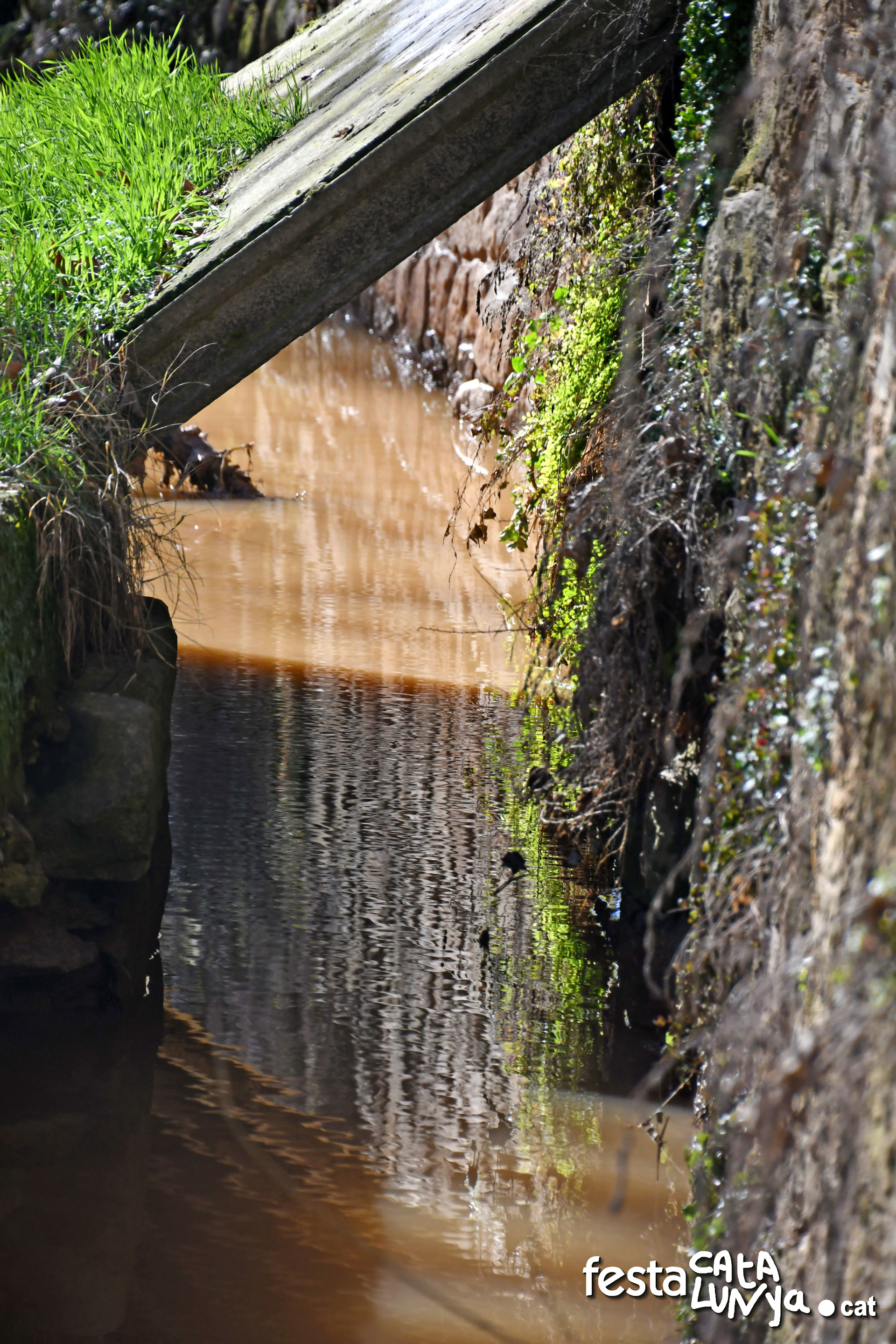 Sanaüja - Pont medieval