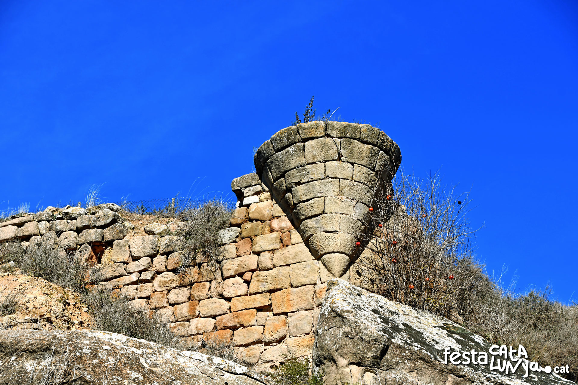 Sanaüja - Castell
