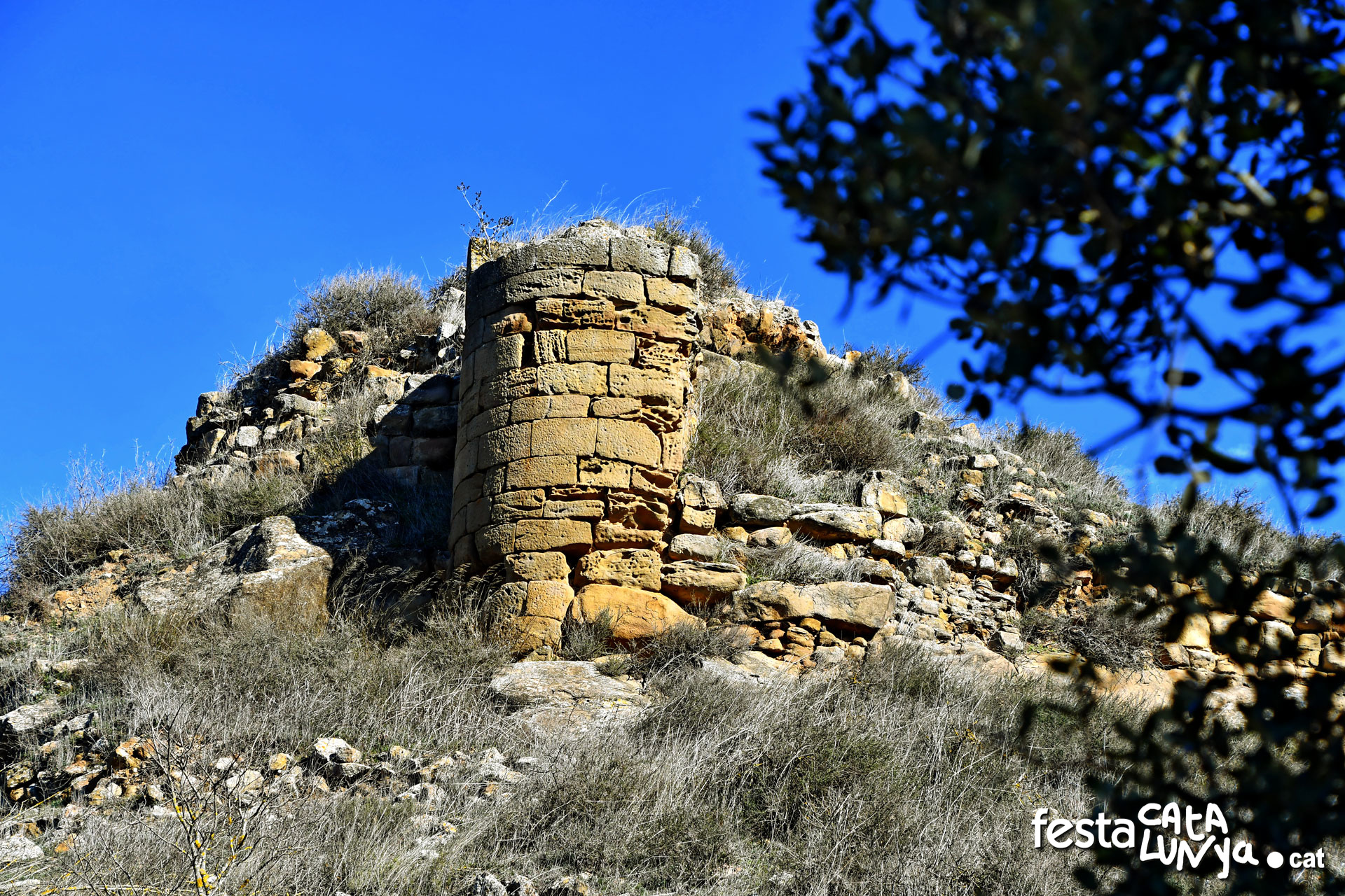 Sanaüja - Castell
